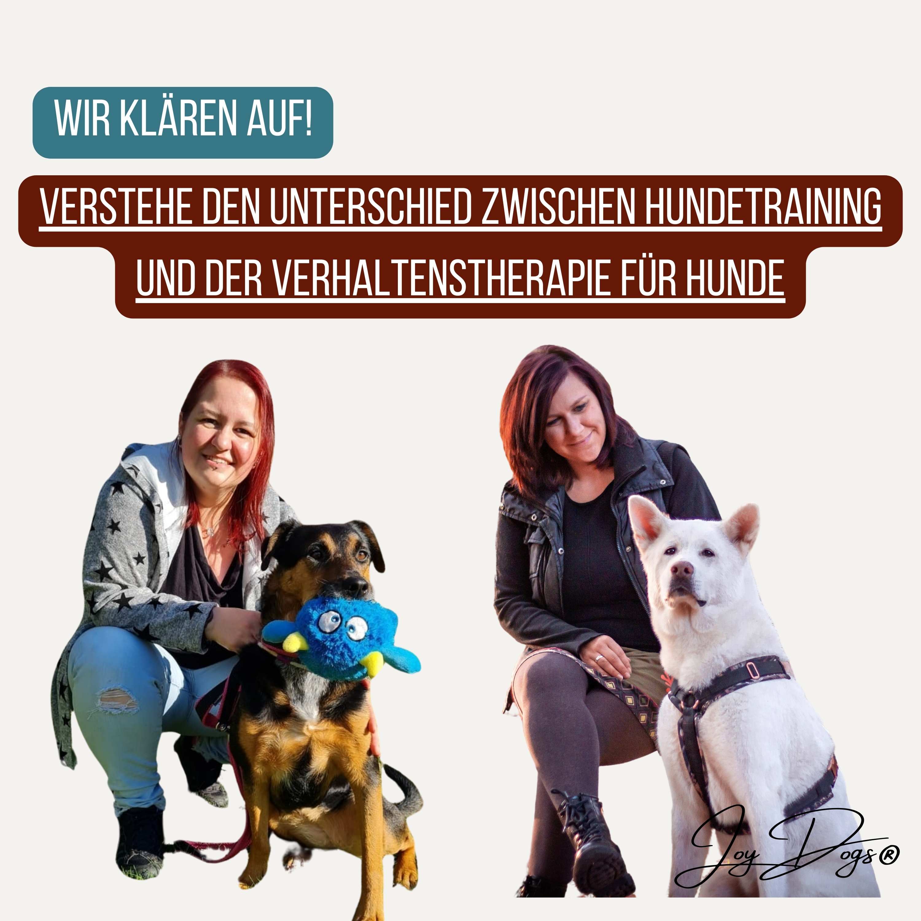 Hundetraining vs. Verhaltenstherapie für Hunde - was ist der Unterschied? episode artwork