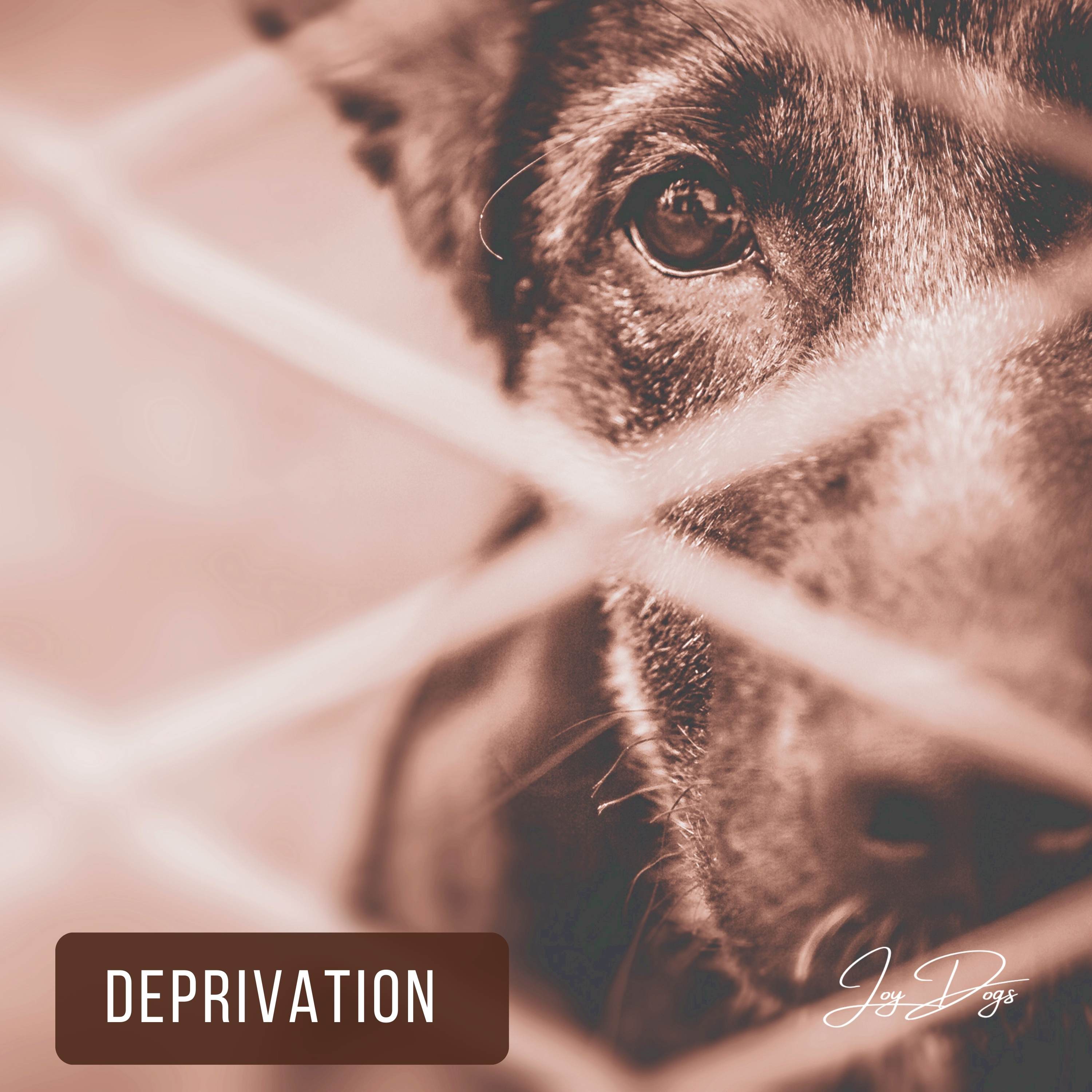 Psychosomatische Krankheitsbilder bei Hunden - Die Deprivation episode artwork