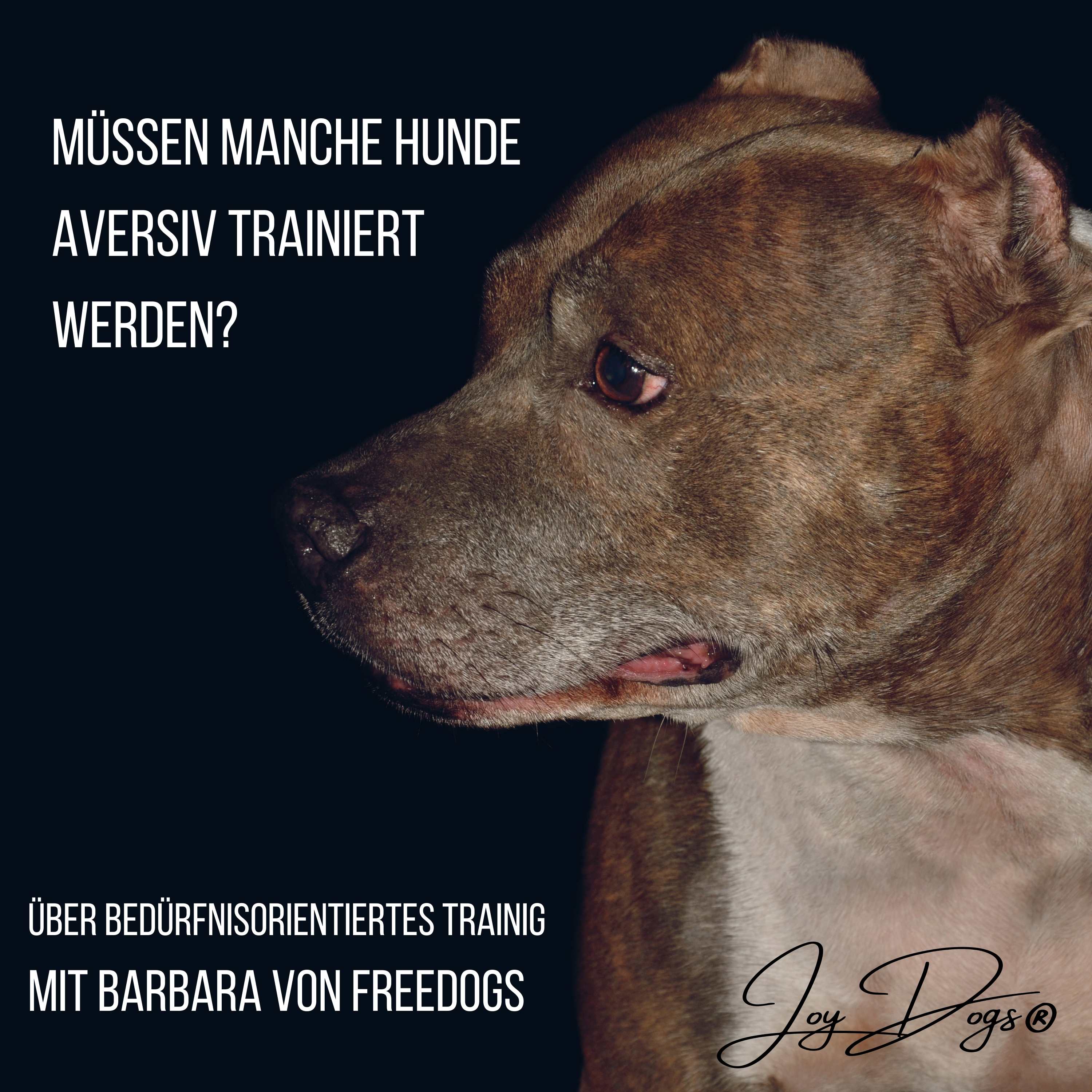 Müssen manche Rassen aversiv trainiert werden? episode artwork