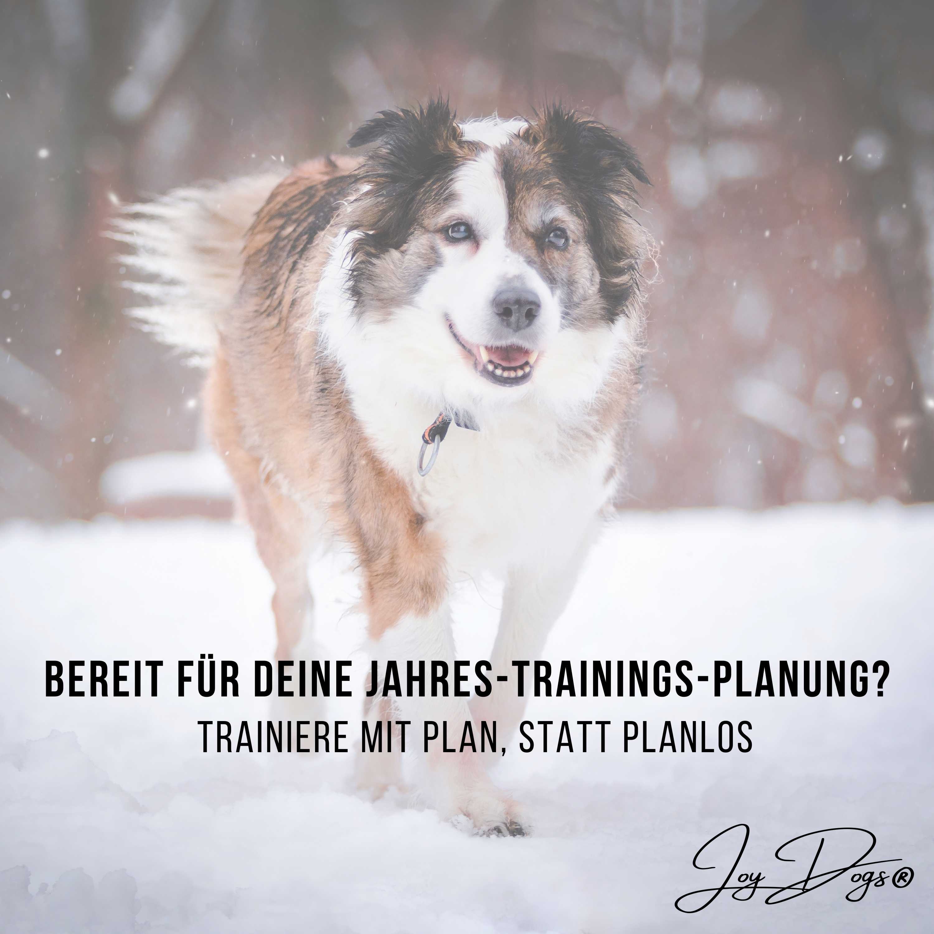 Deine JahresTrainingsPlanung mit deinem Hund episode artwork