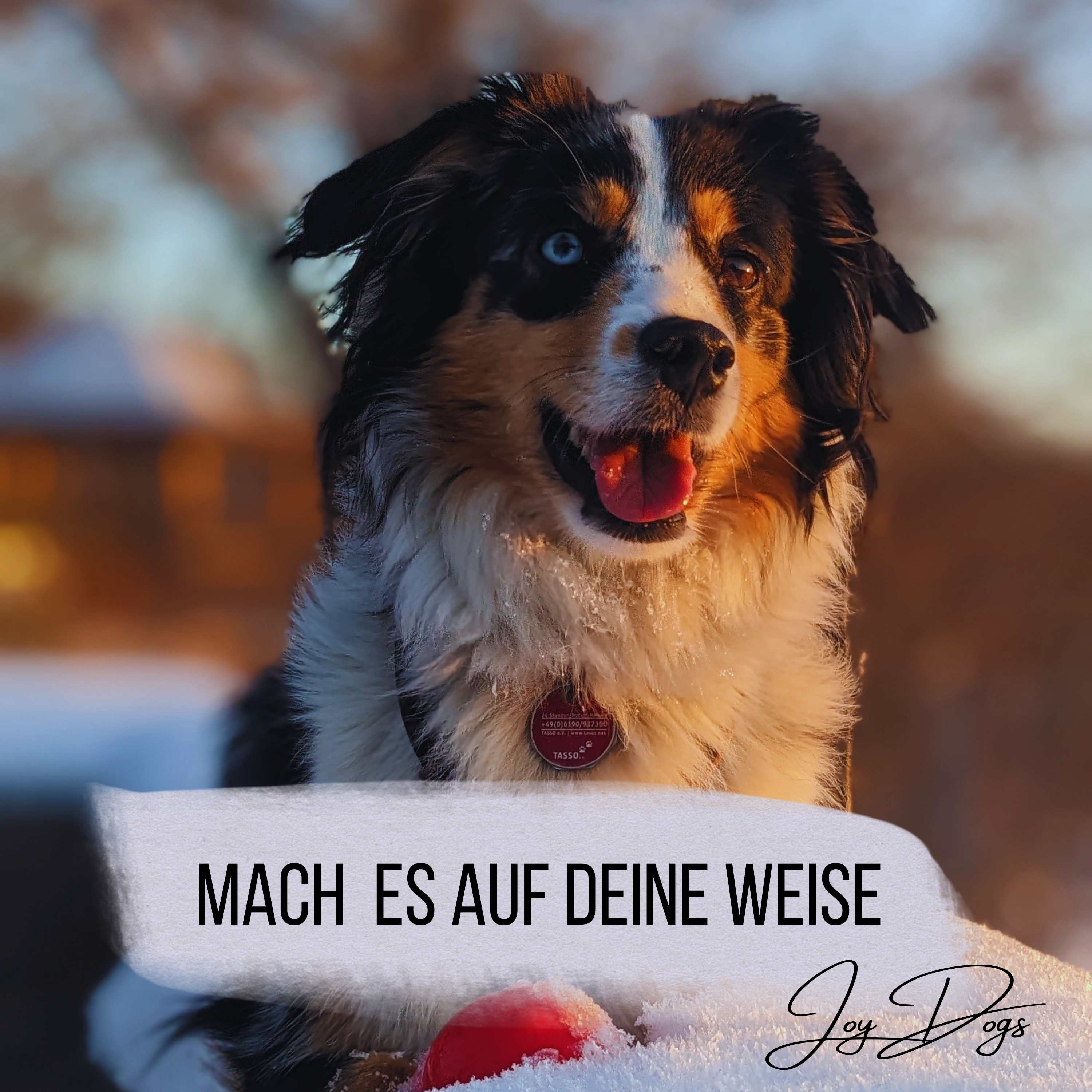 Mach es auf deine Weise episode artwork