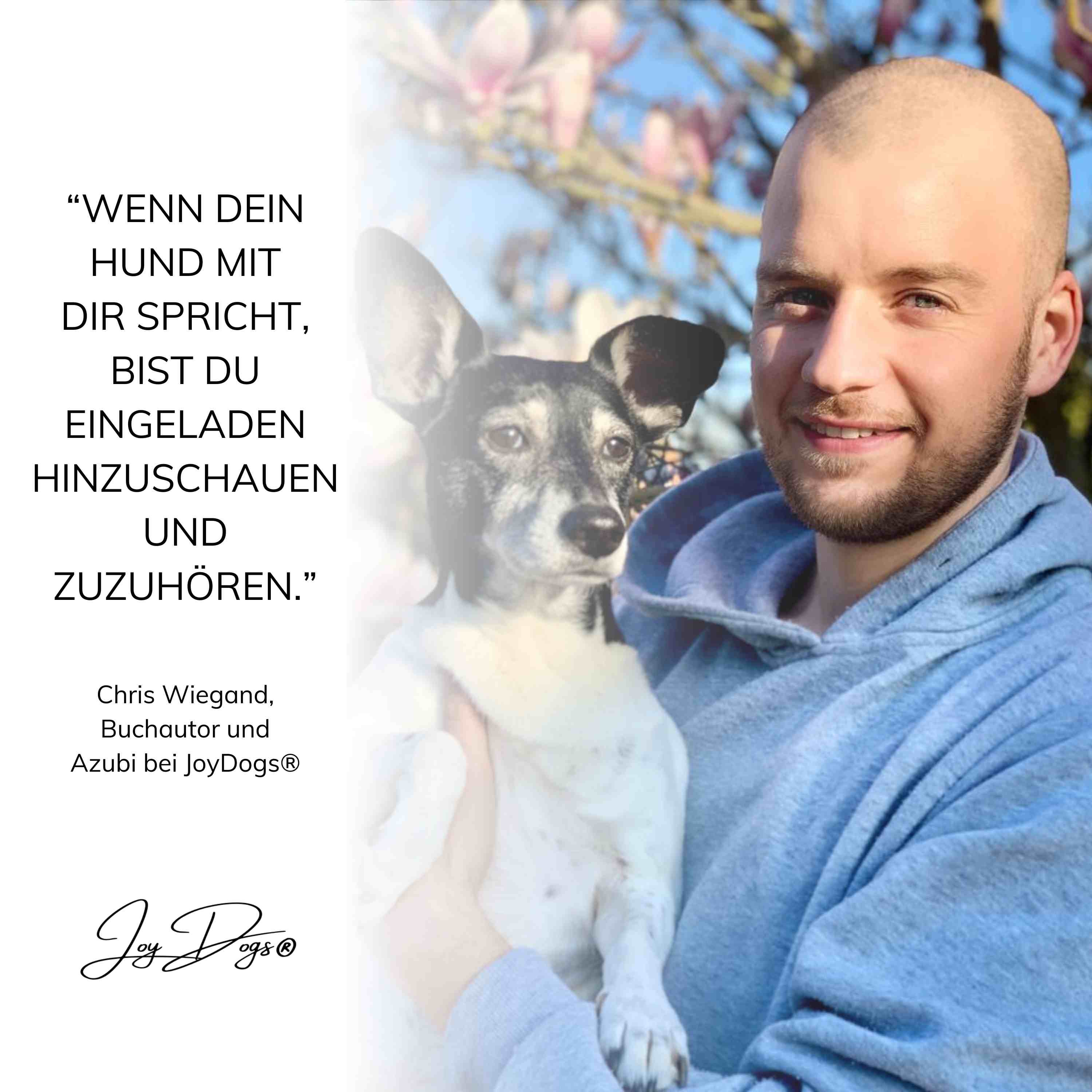Spannender Einblick - Interview mit einem JoyDogs® Azubi episode artwork