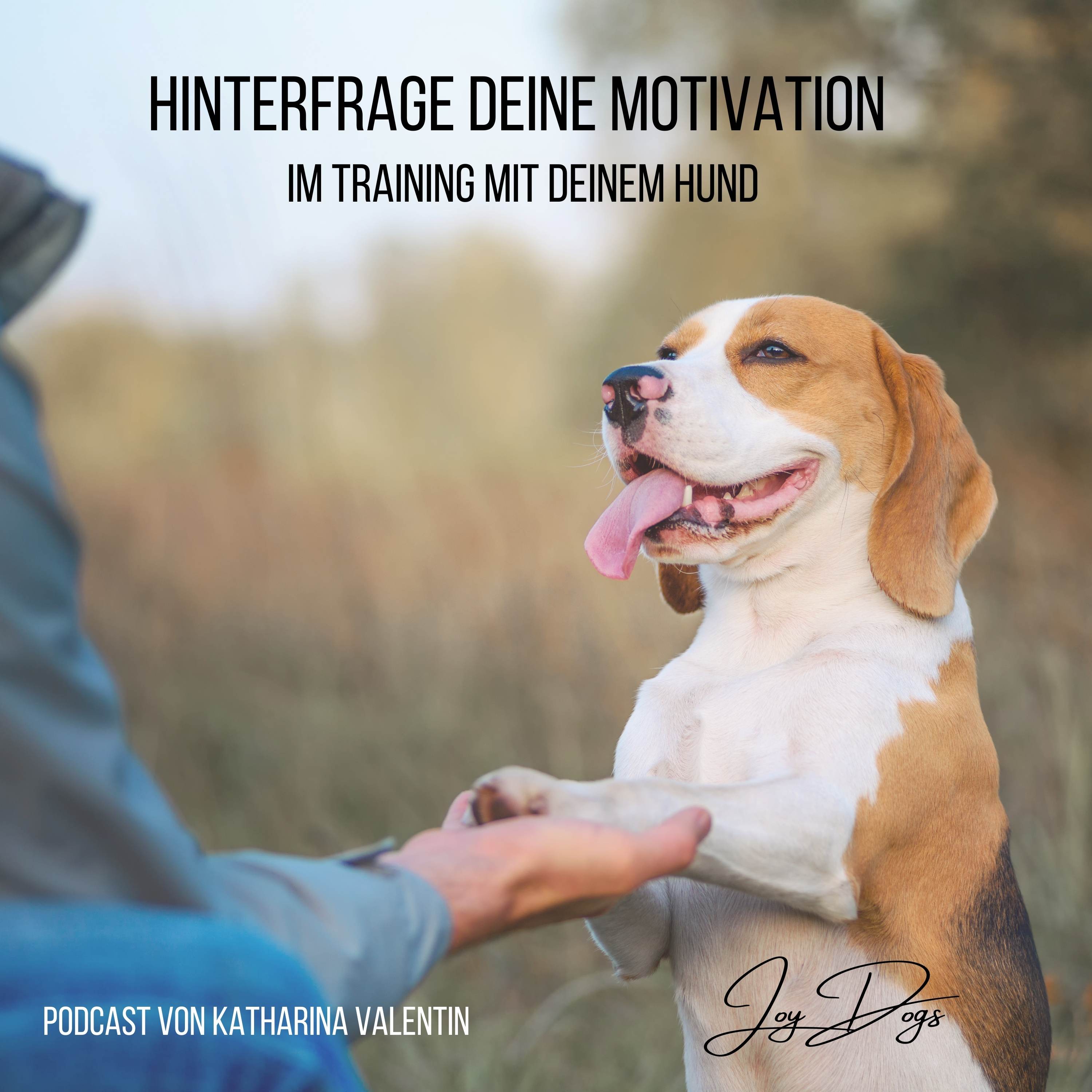 Hinterfrage deine Motivation im Training mit deinem Hund episode artwork