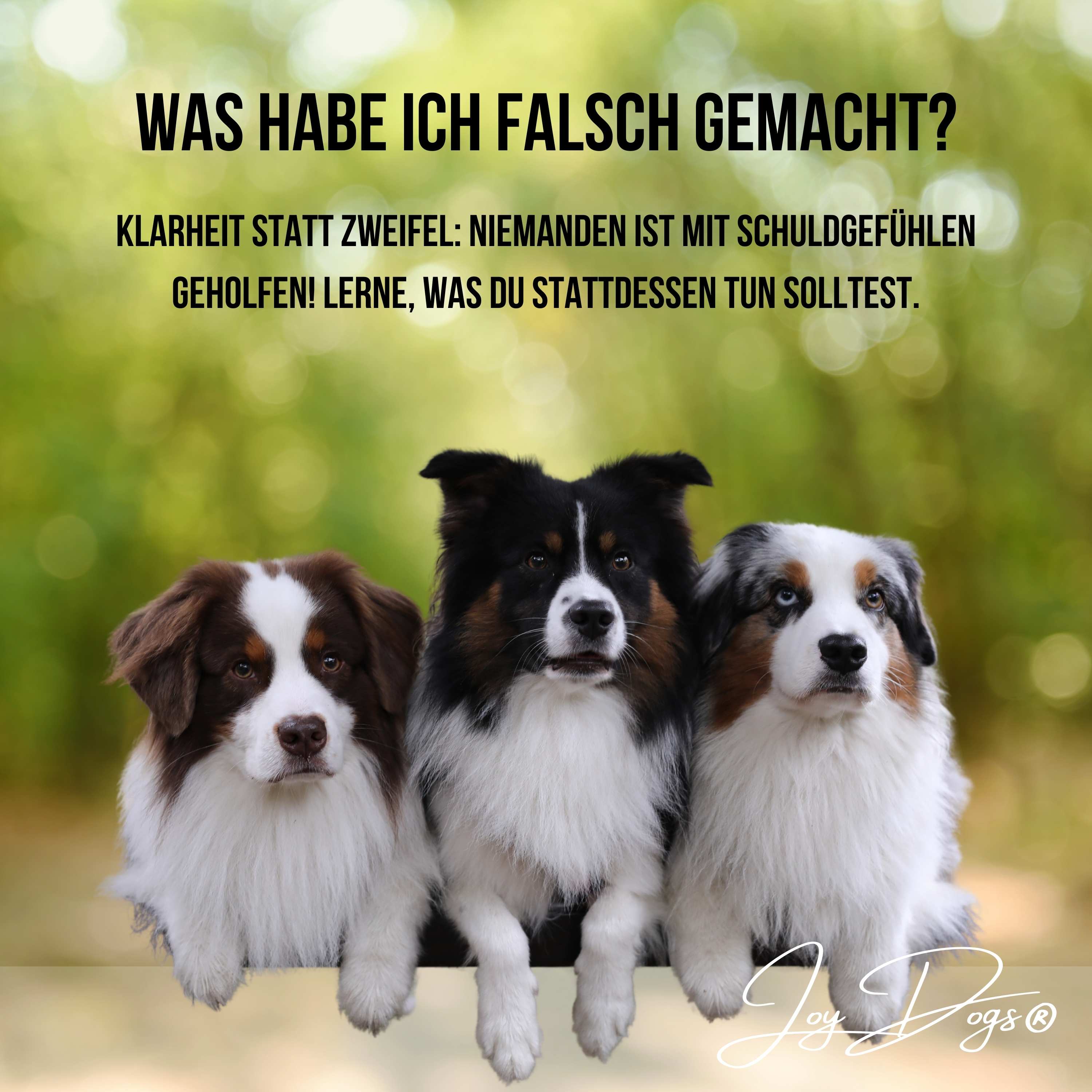 Bin ich schuld am Verhalten meines Hundes? - Wissen statt Zweifel episode artwork