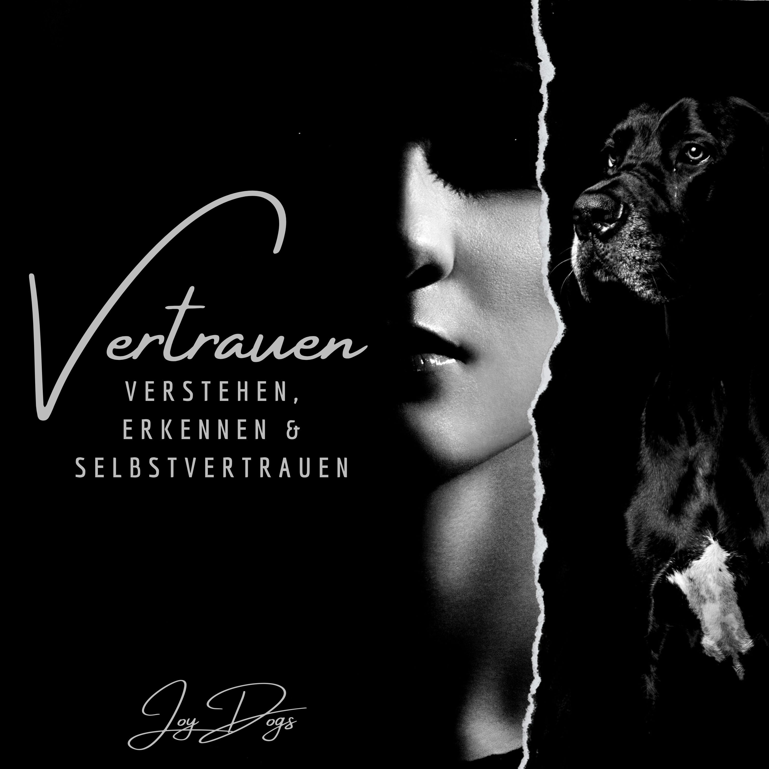 Vertrauen - Verstehen, Erkennen & Selbstvertrauen episode artwork