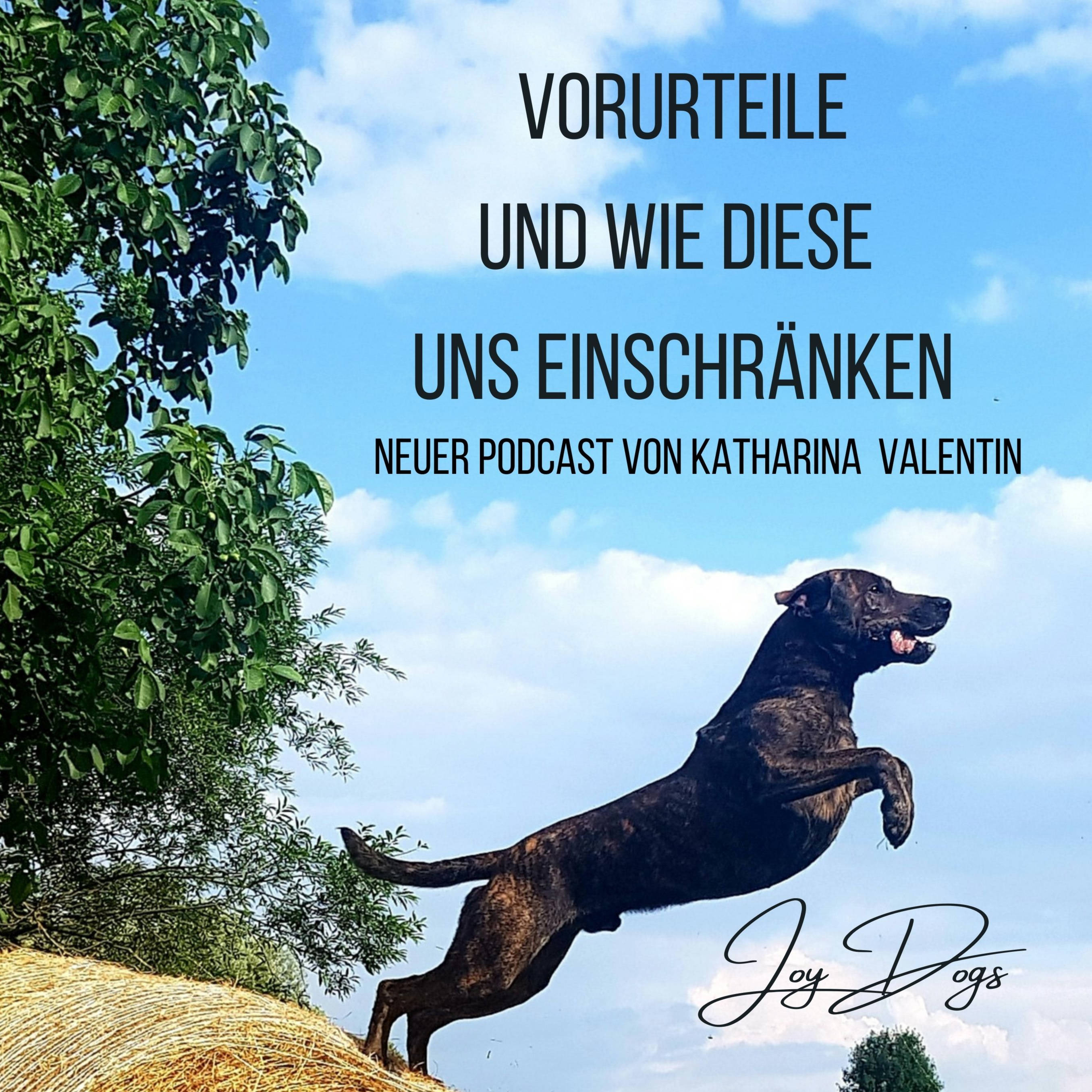Vorurteile - und wie uns diese einschränken episode artwork