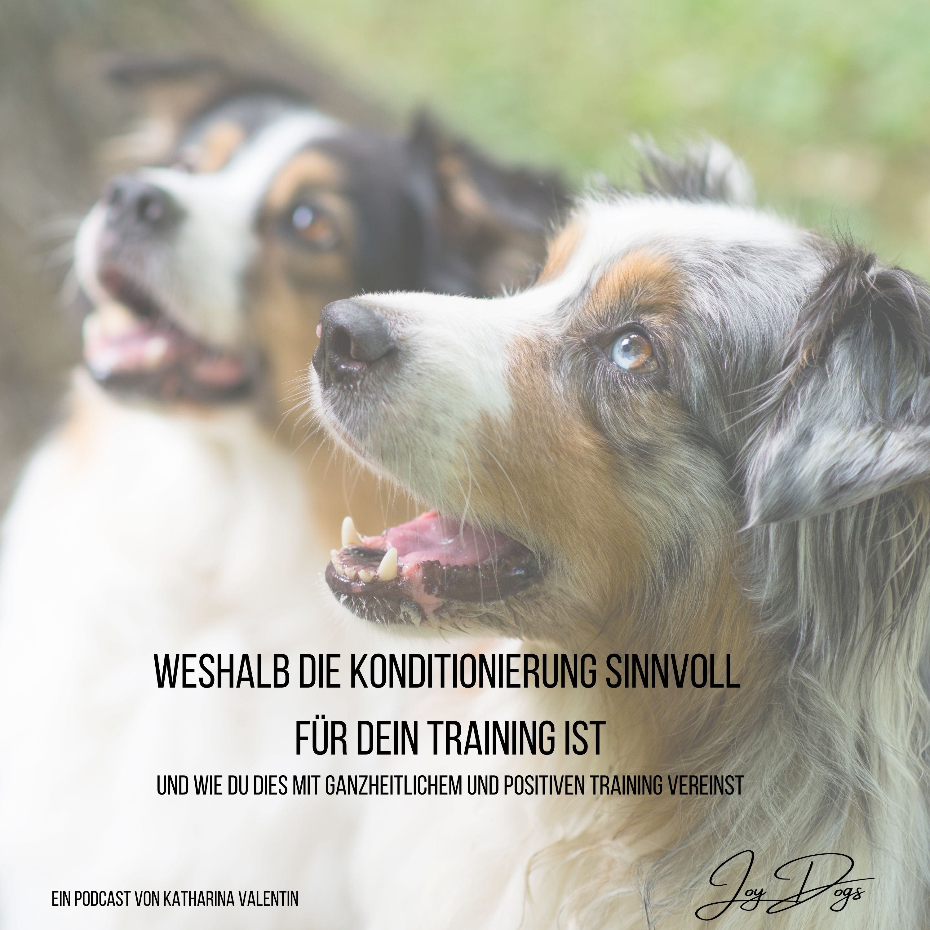 Weshalb die Konditionierung sinnvoll  für dein Training ist episode artwork