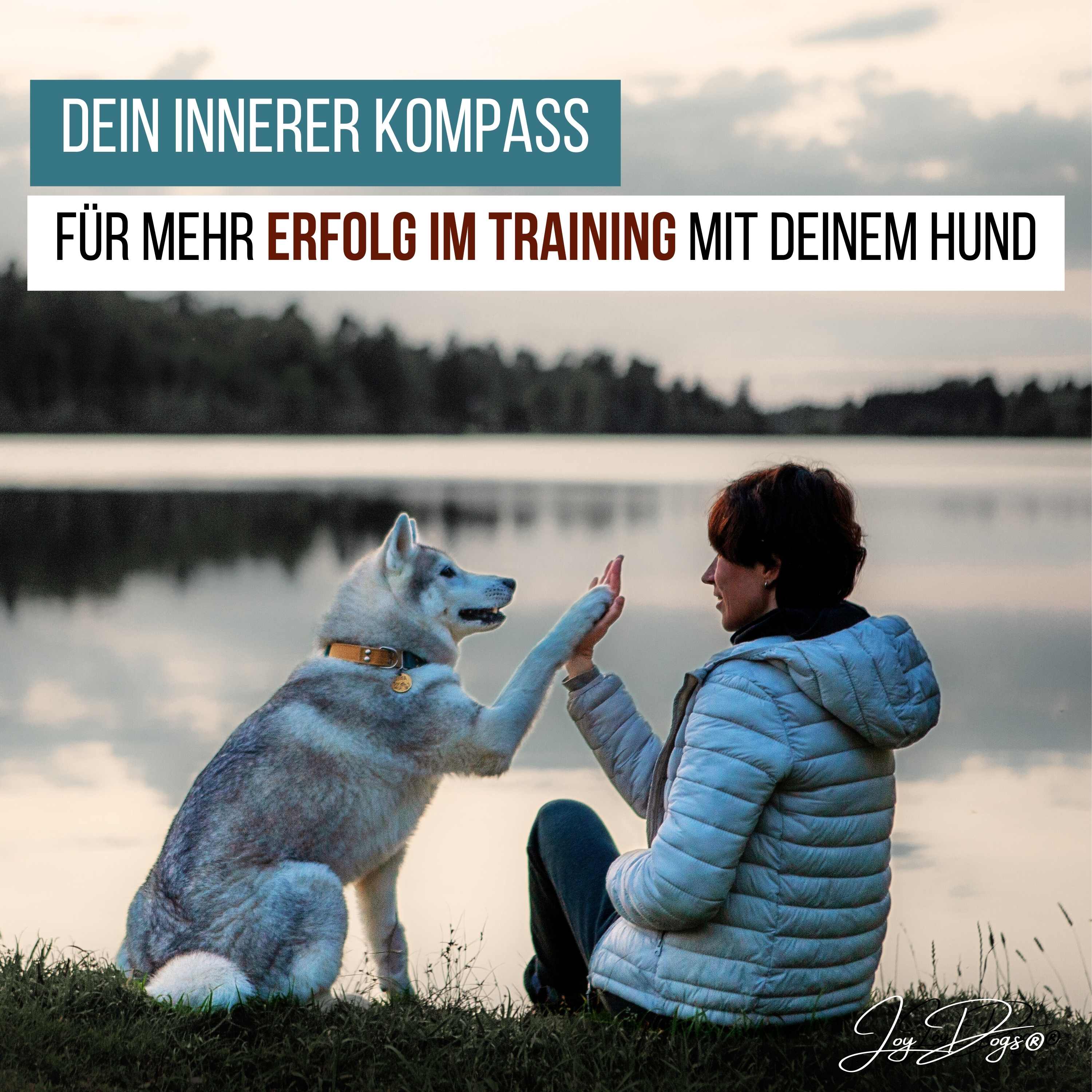 Nutze deinen inneren Kompass für mehr Erfolg im Training mit deinem Hund episode artwork