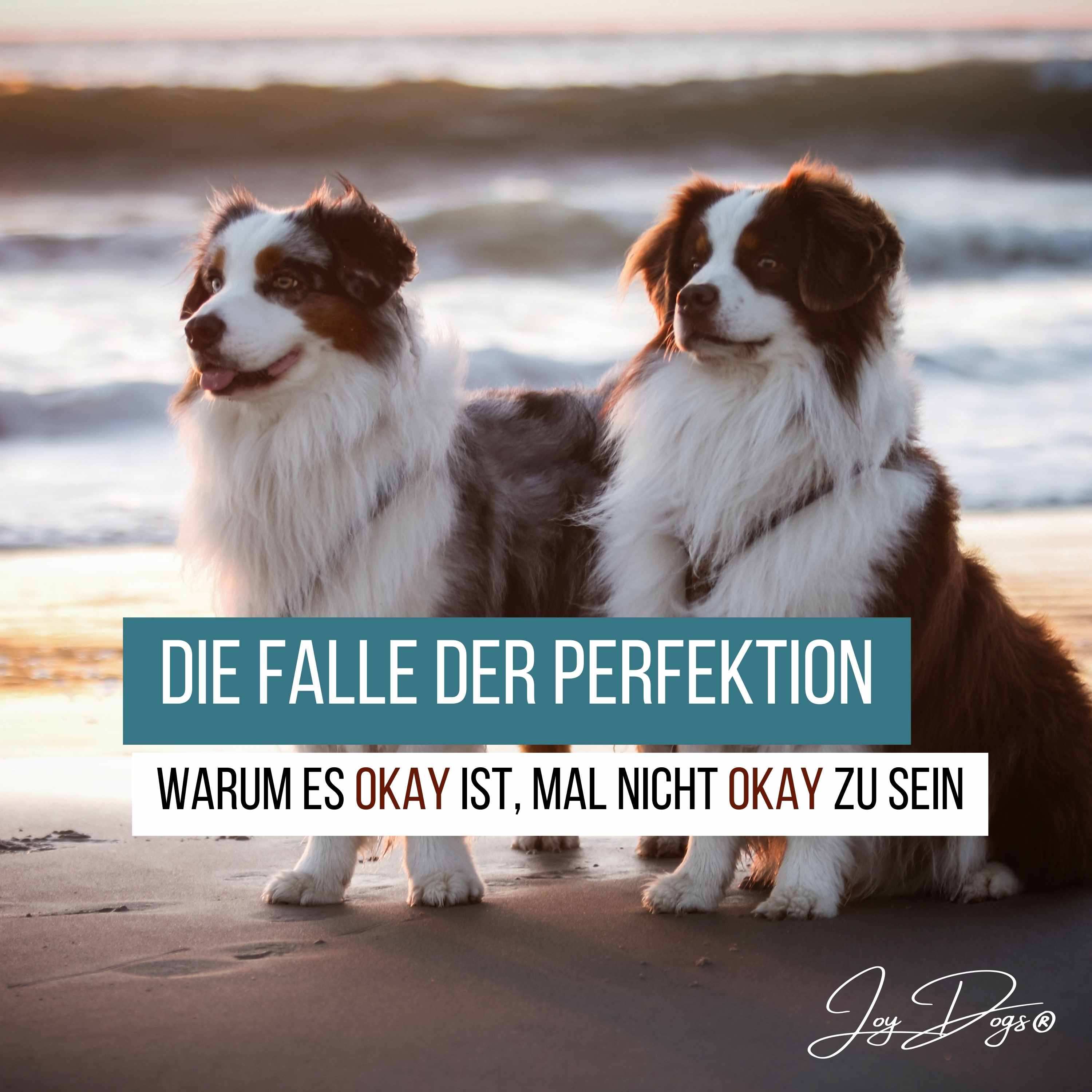 Die Falle der Perfektion - Warum es okay ist, mal nicht okay zu sein episode artwork