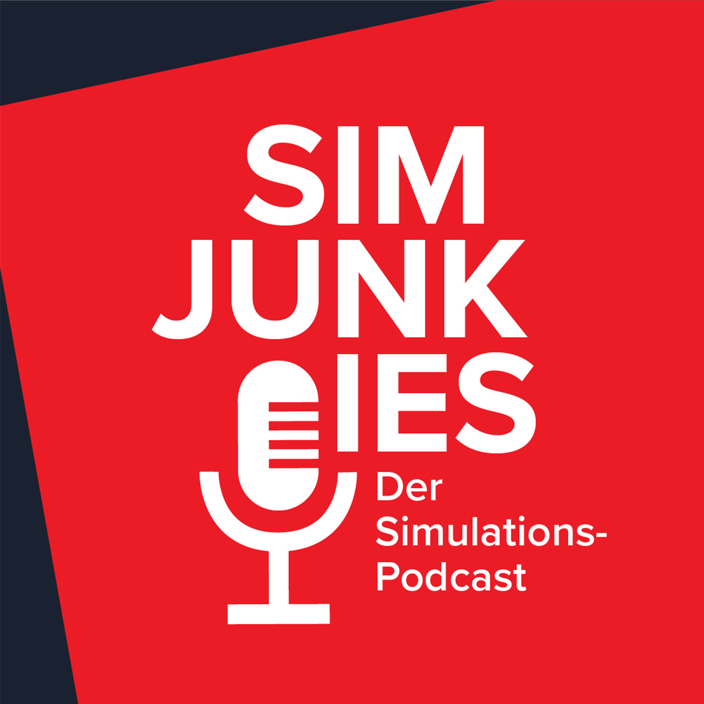 Folge 9 – SimTrainer mit Haltung und Kompetenz - Was hat Simulation mit Pädagogik zu tun?
