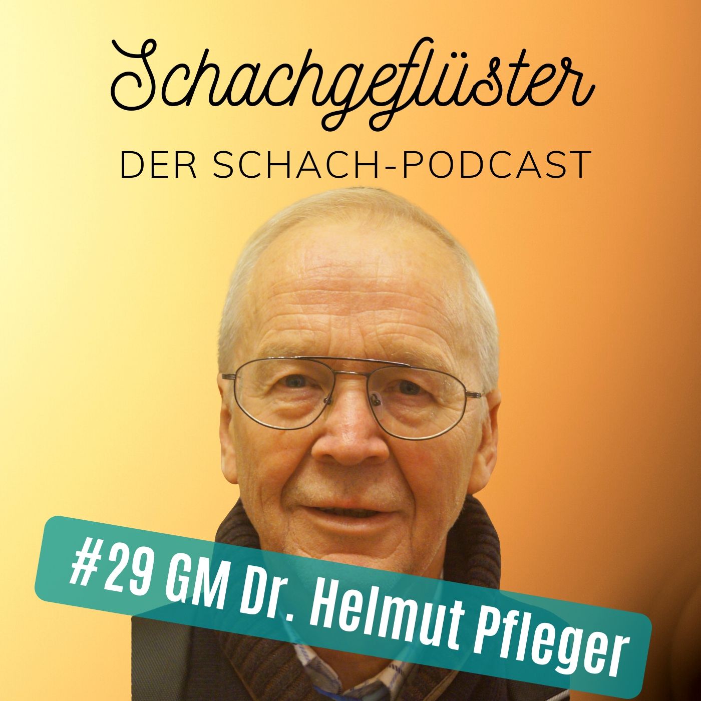 Helmut Pfleger (Der Zugbegleiter) | #29 episode artwork