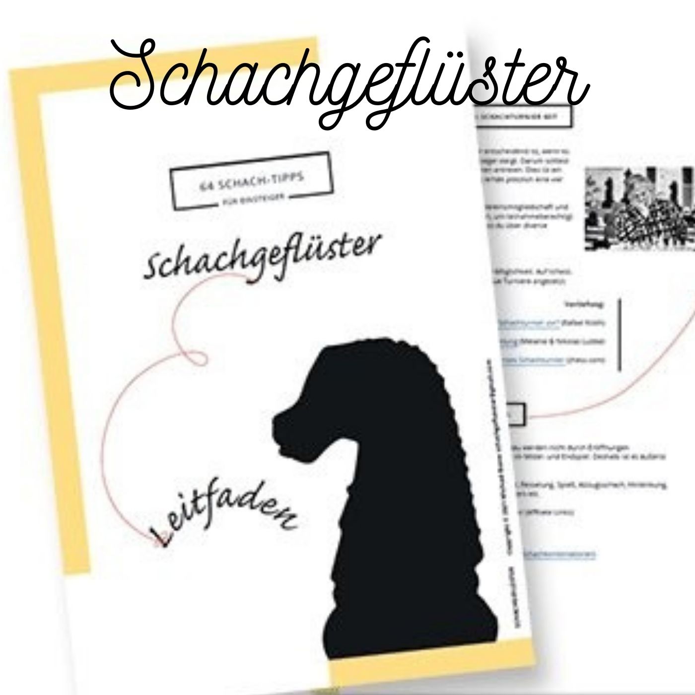 Hol dir schnell deinen Schach-Leitfaden | #72 episode artwork