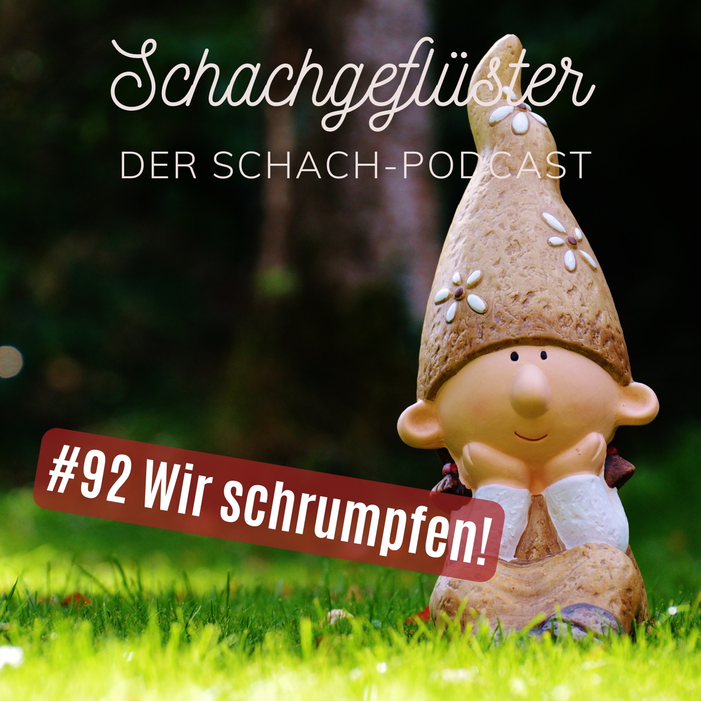 Wir schrumpfen! 32 Ideen zur Mitgliedergewinnung | #92 episode artwork