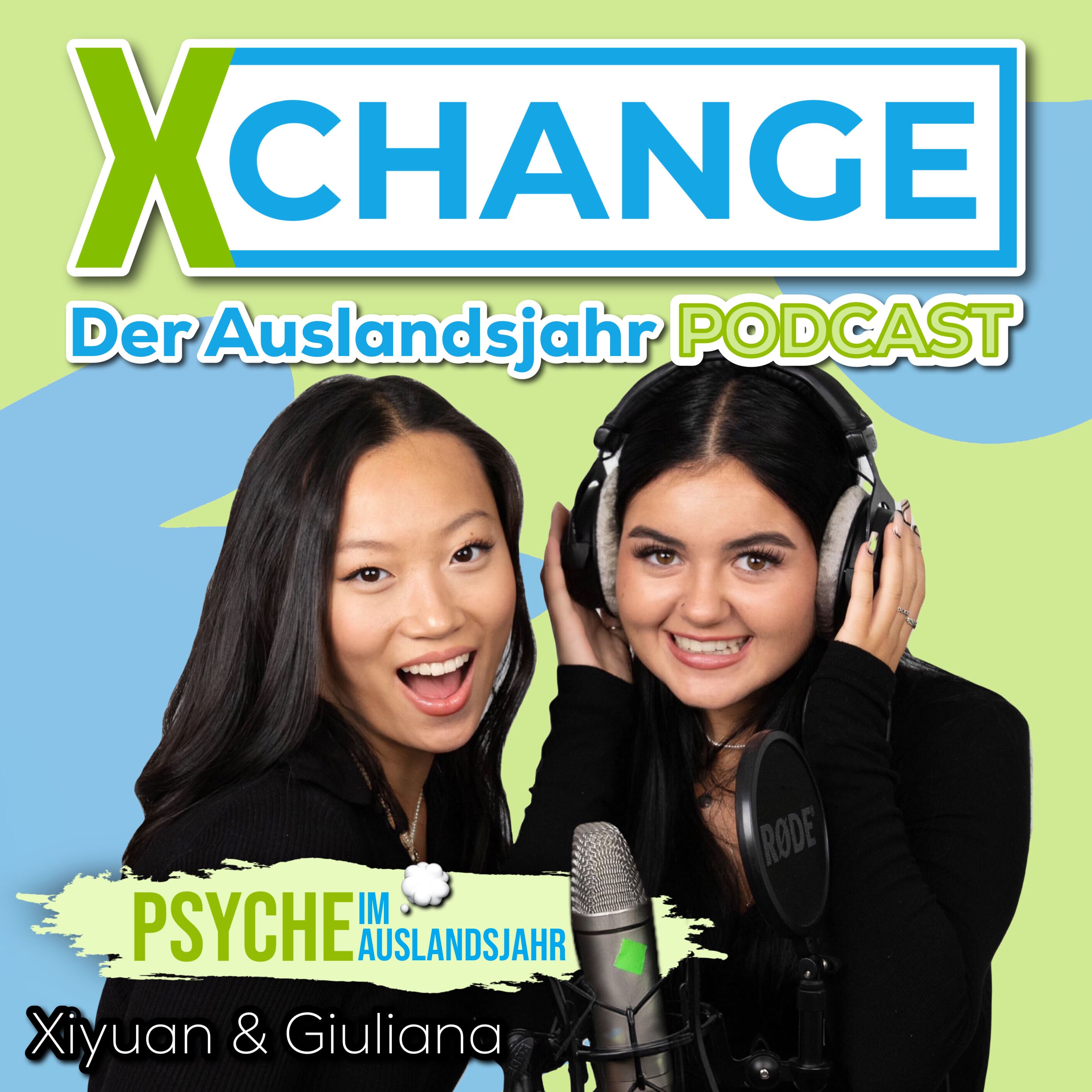#115 Psyche vor und nach dem Auslandsjahr episode artwork