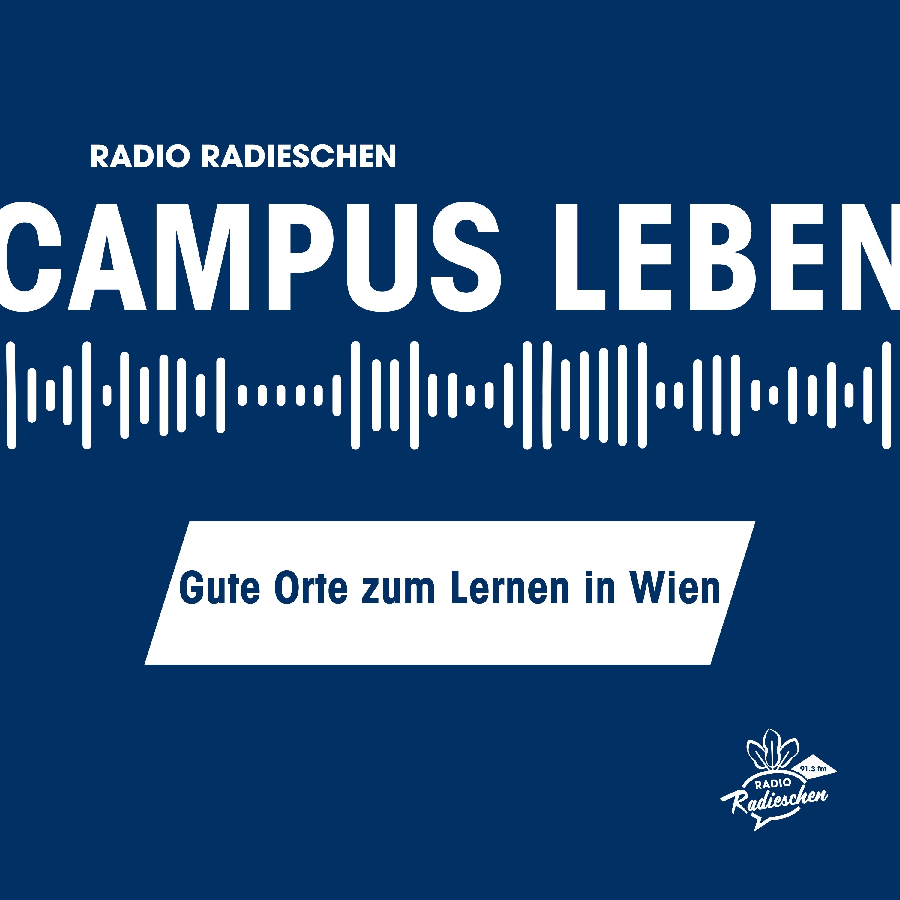 Gute Orte zum Lernen in Wien episode artwork