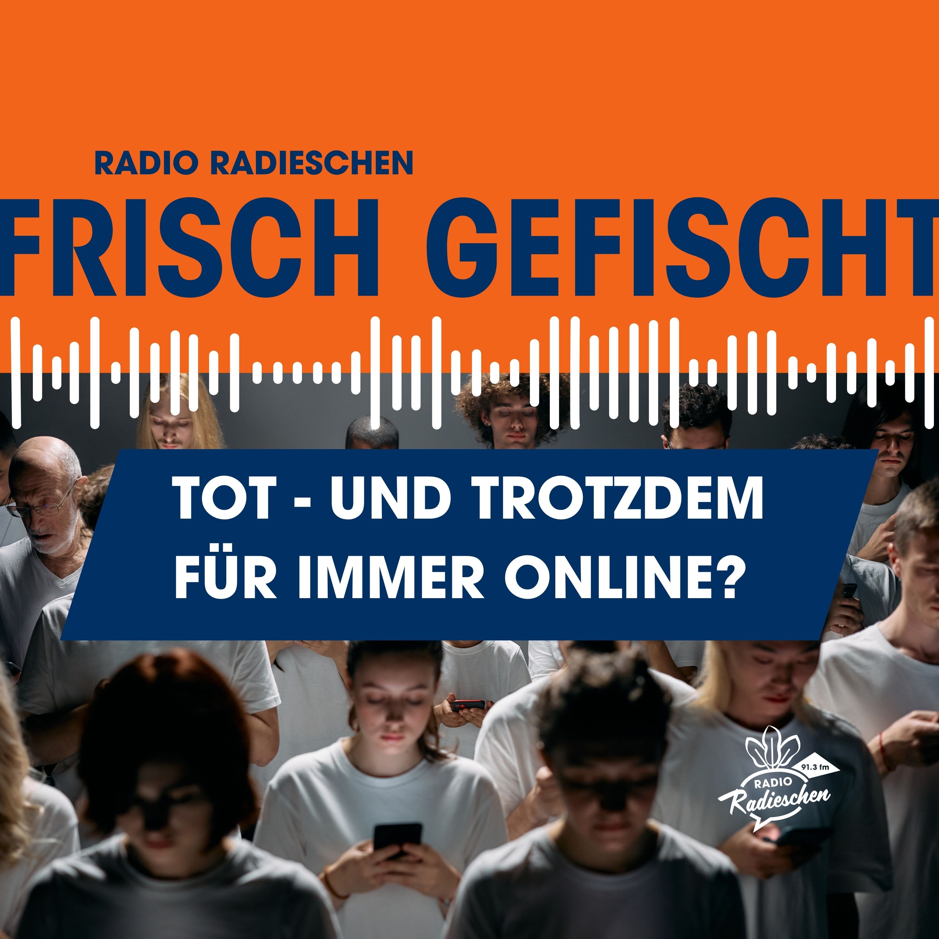 Tot - und trotzdem für immer online? episode artwork