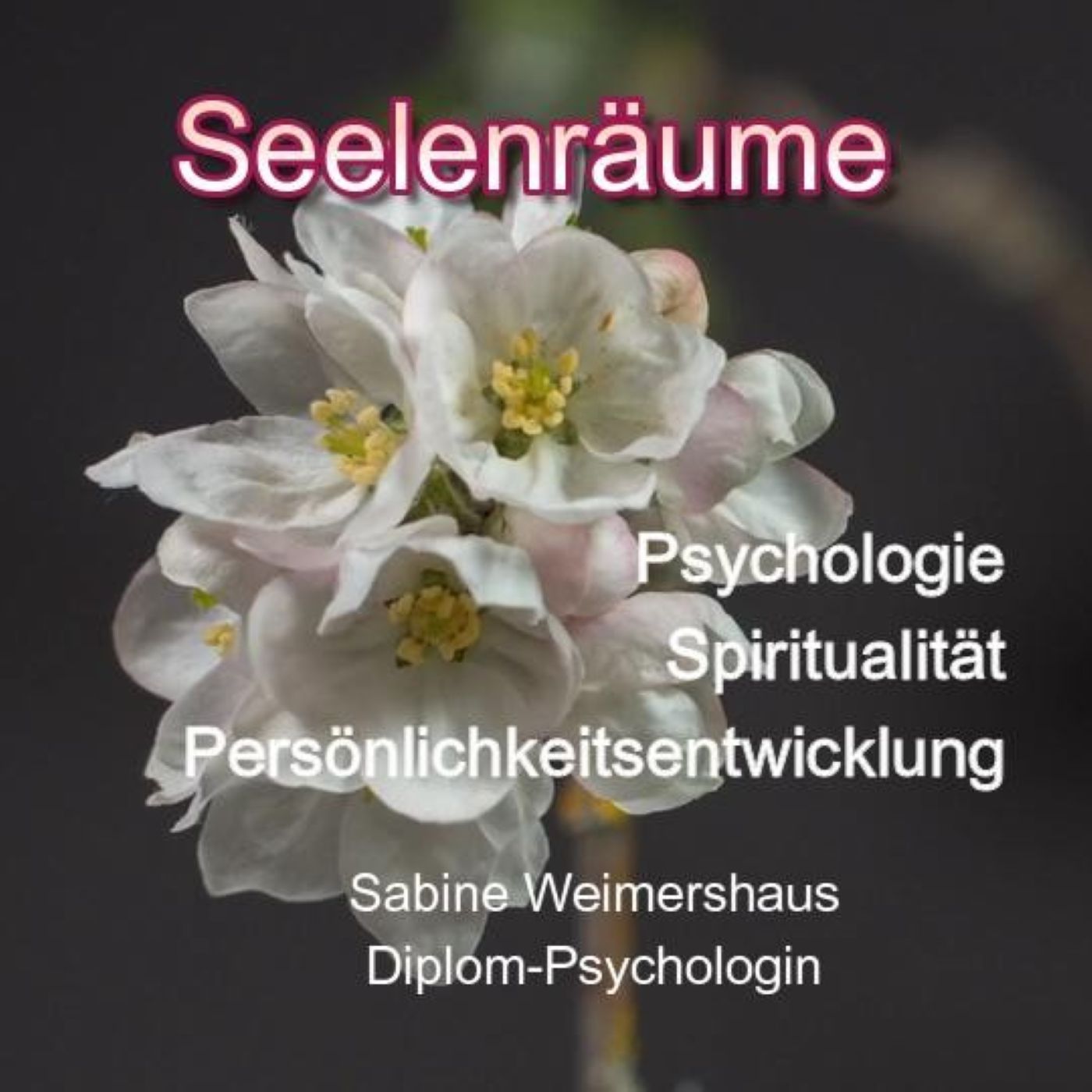 Seelenräume