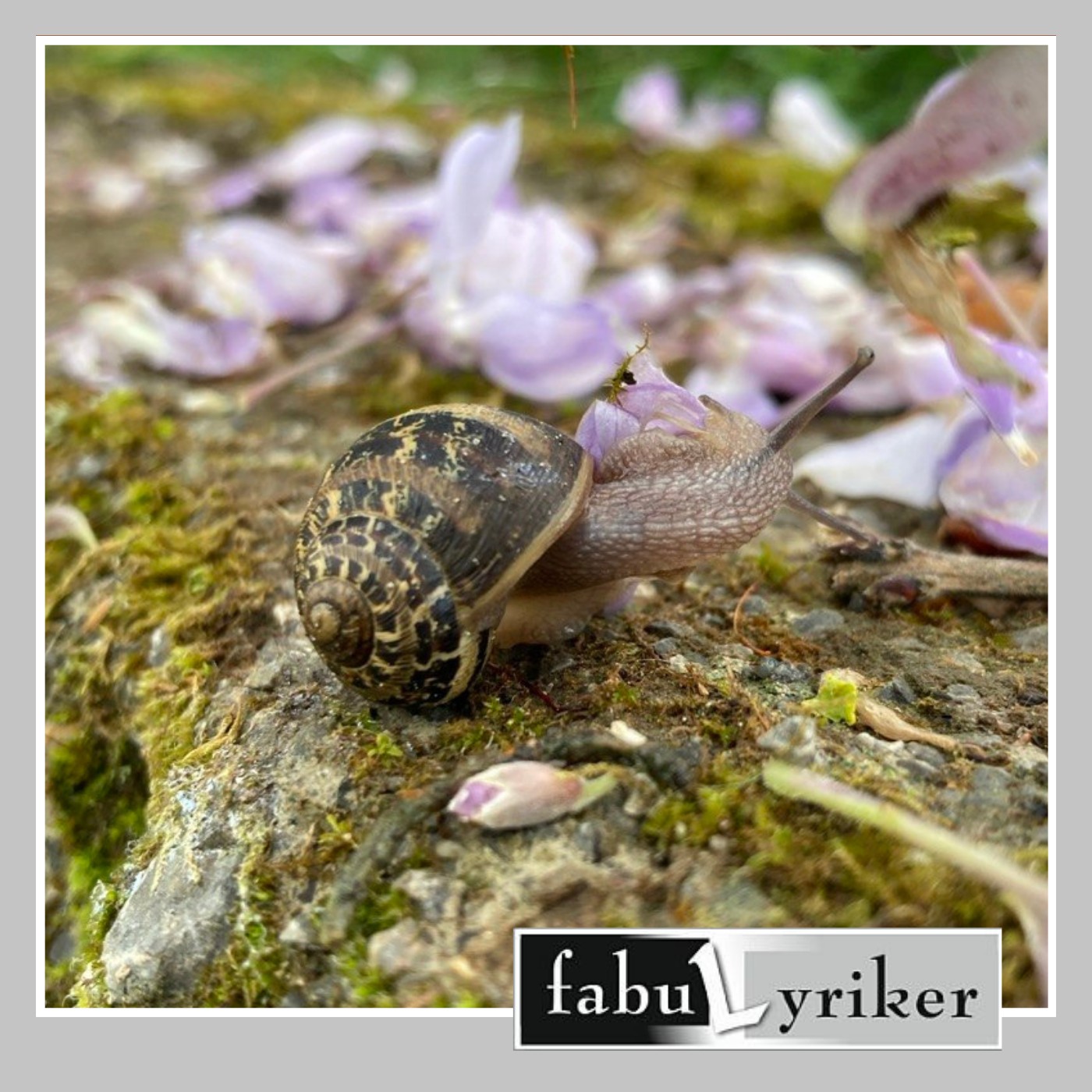 fabuLyriker
