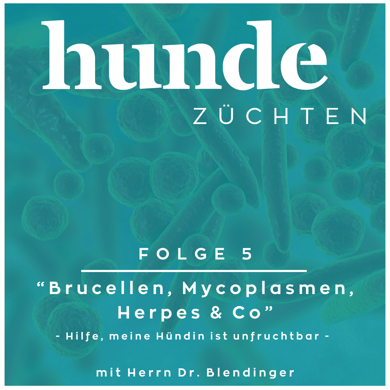 #5 - Brucellen, Mycoplasmen, Herpes & Co episode artwork