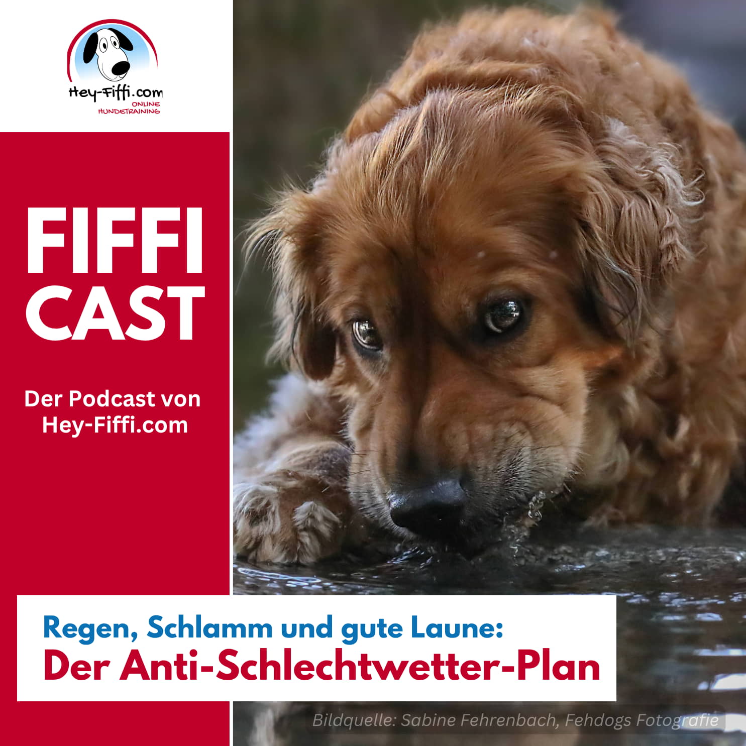 Regen, Schlamm und gute Laune: Der Anti-Schlechtwetter-Plan
