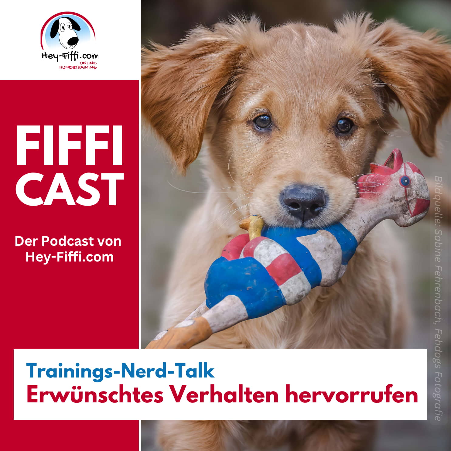 Trainings-Nerd-Talk: Erwünschtes Verhalten hervorrufen episode artwork