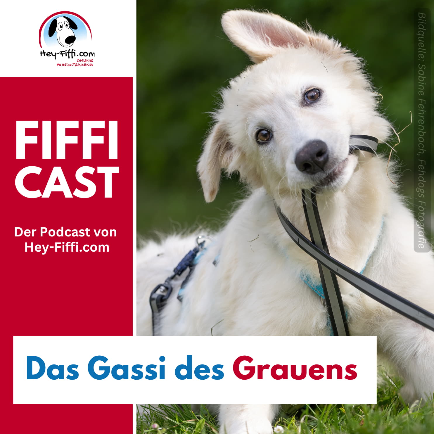 Das Gassi des Grauens episode artwork