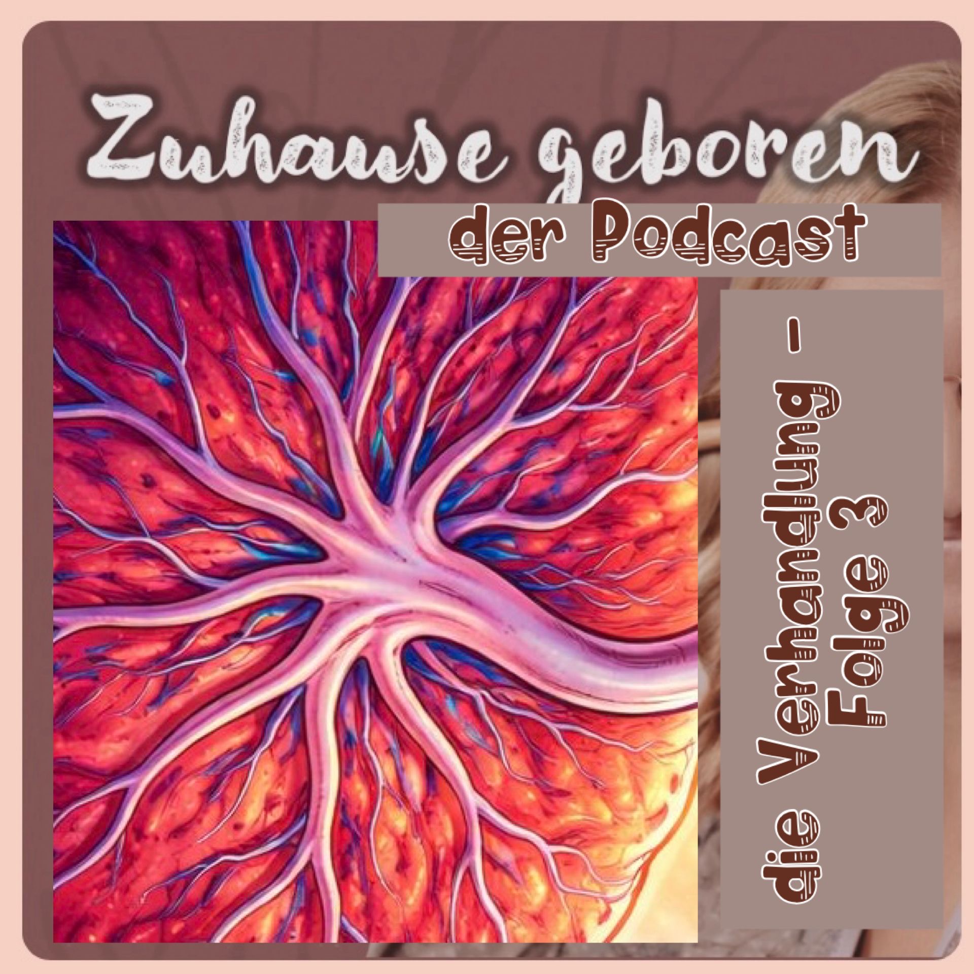 BONUS | Margarete Wana und Andrea Surek sprechen über die Verhandlung Teil 3 - Die Plazenta episode artwork
