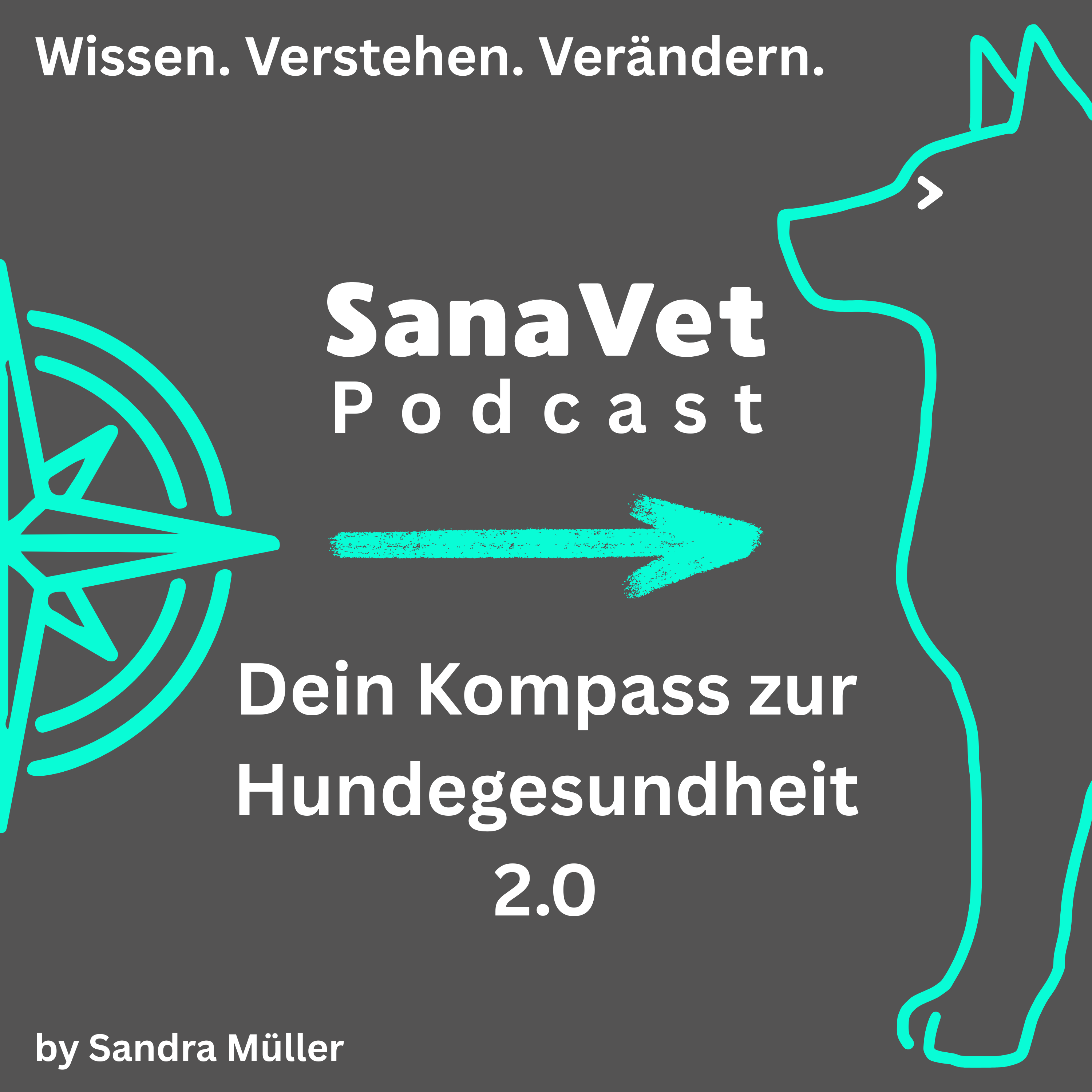 SanaVet Podcast