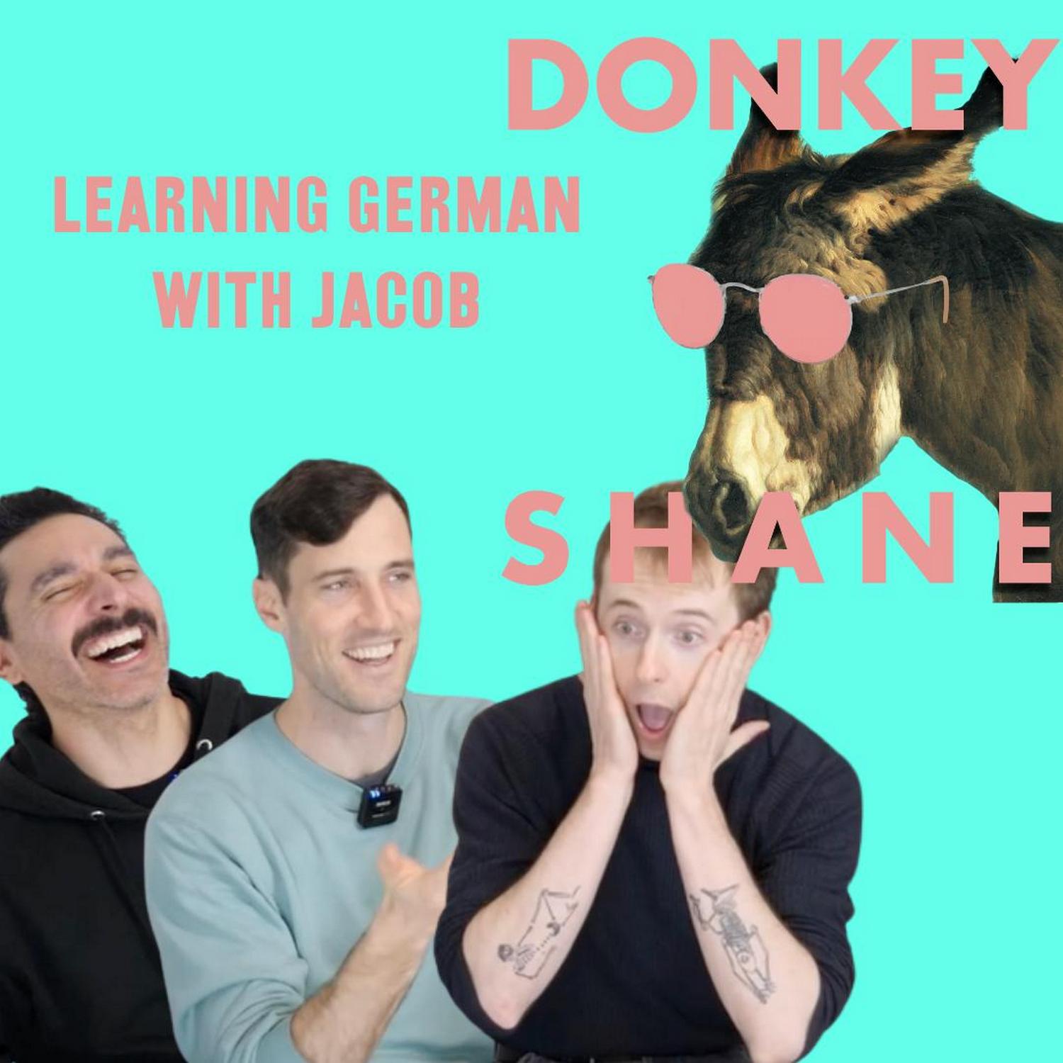 Introducing yourself, cases and W questions (German with Jacob) episode artwork