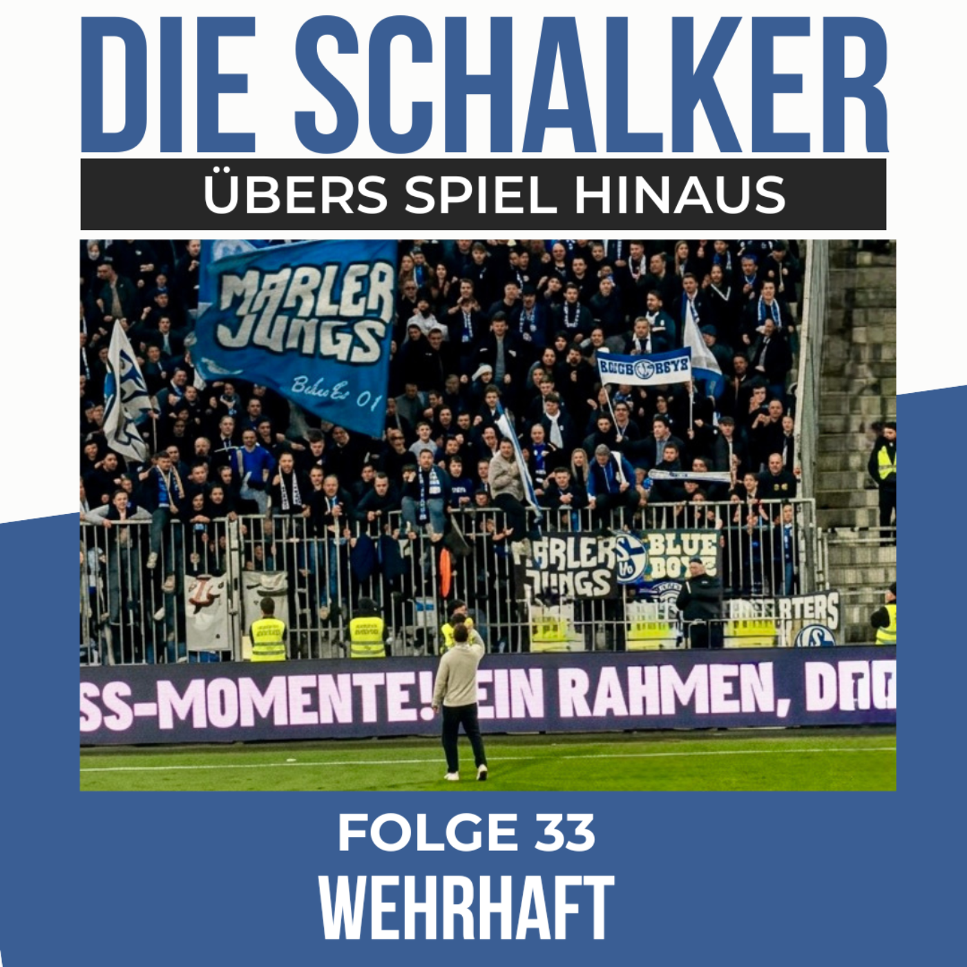 Wehrhaft - Schalke holt verdient Punkt in Darmstadt episode artwork