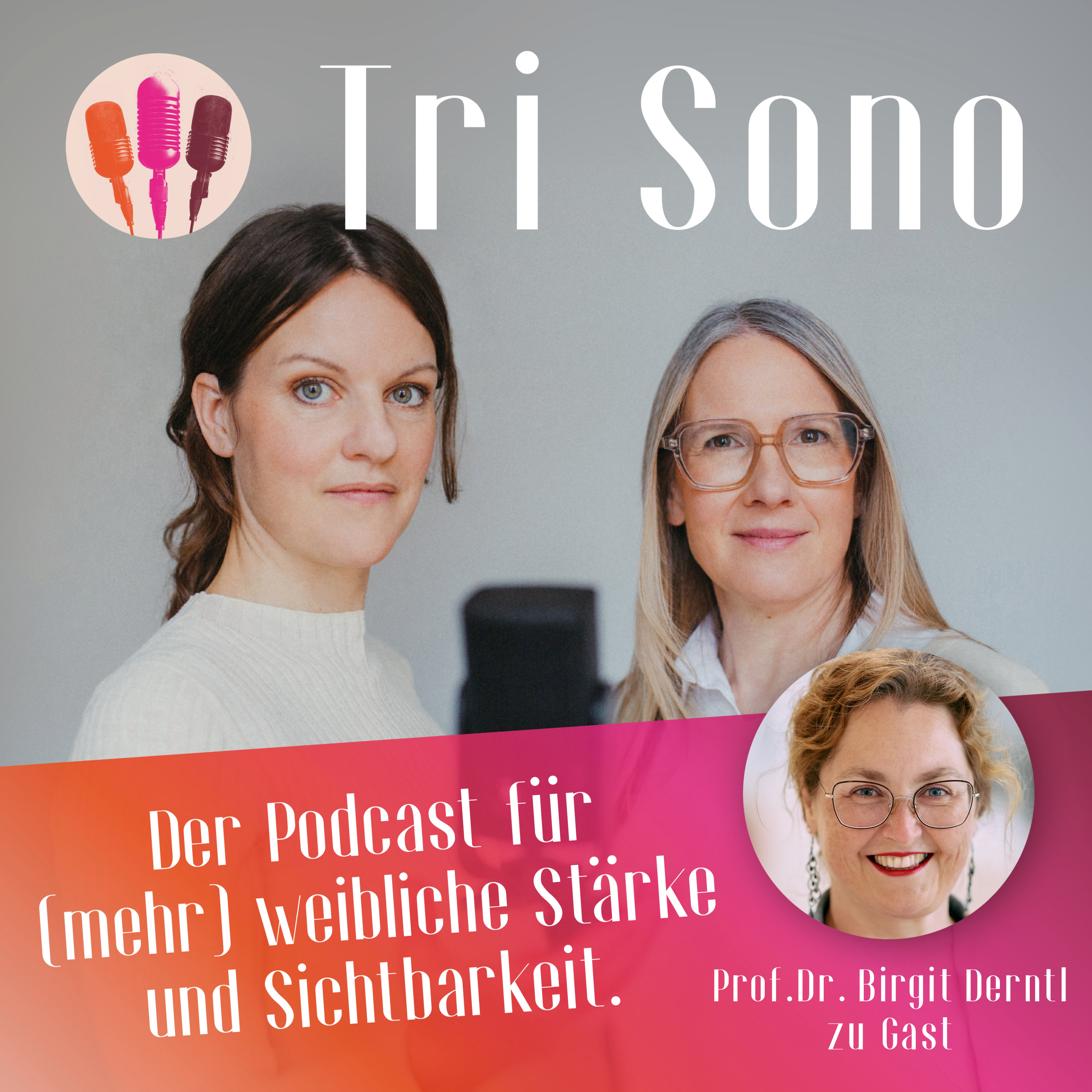 Die halbe Welt fehlt! Frauen als Forschungsnische? Mit Prof.Dr. Birgit Derntl im Gespräch episode artwork