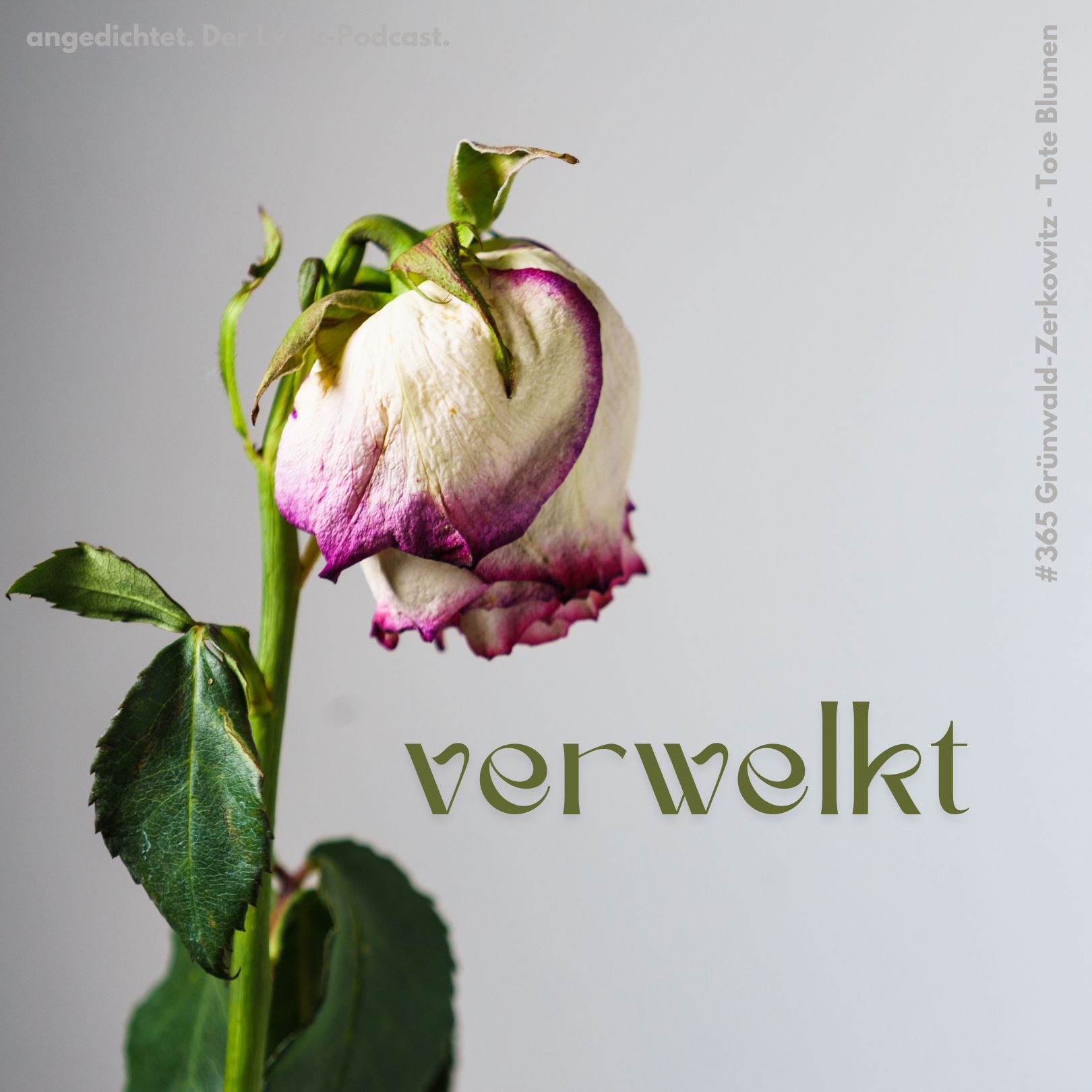 #365 Sidonie Grünwald-Zerkowitz - Tote Blumen #365 Sidonie Grünwald-Zerkowitz - Tote Blumen