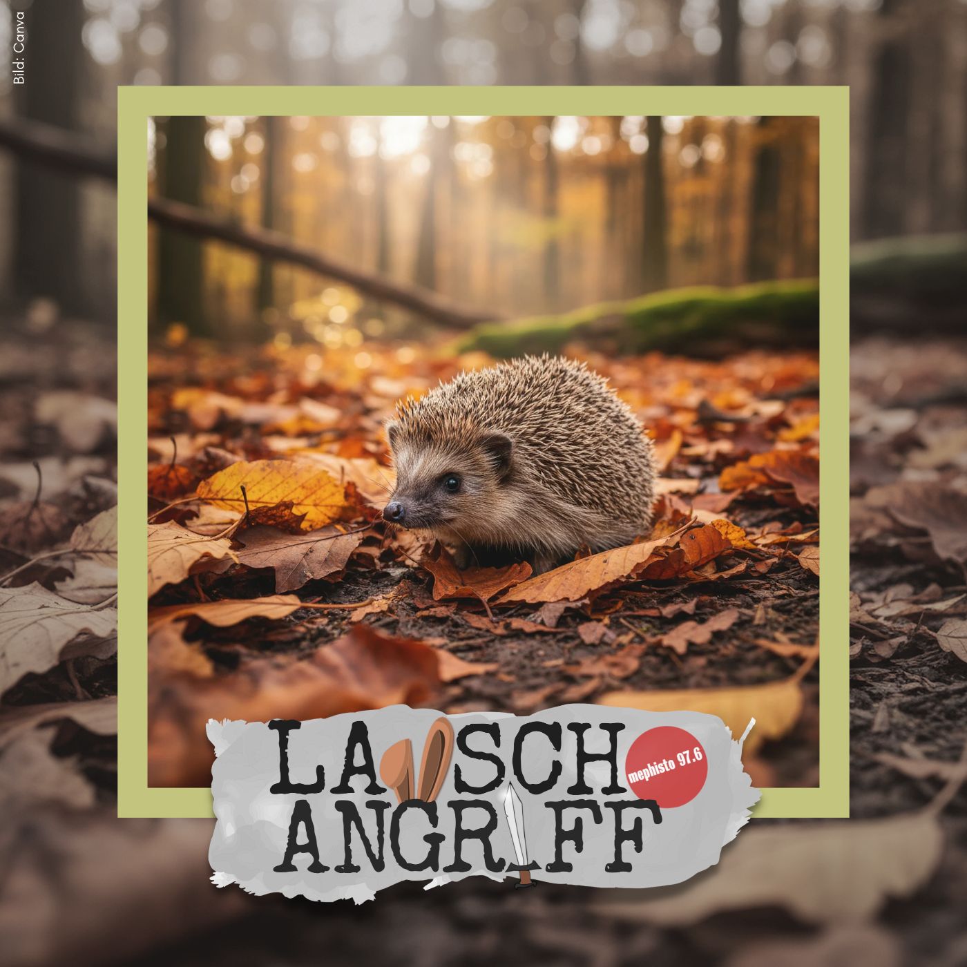 „Herbstfest bei Frau und Frau Igelinn“ – ein Hörspiel von Robin Werner (Kopie) episode artwork