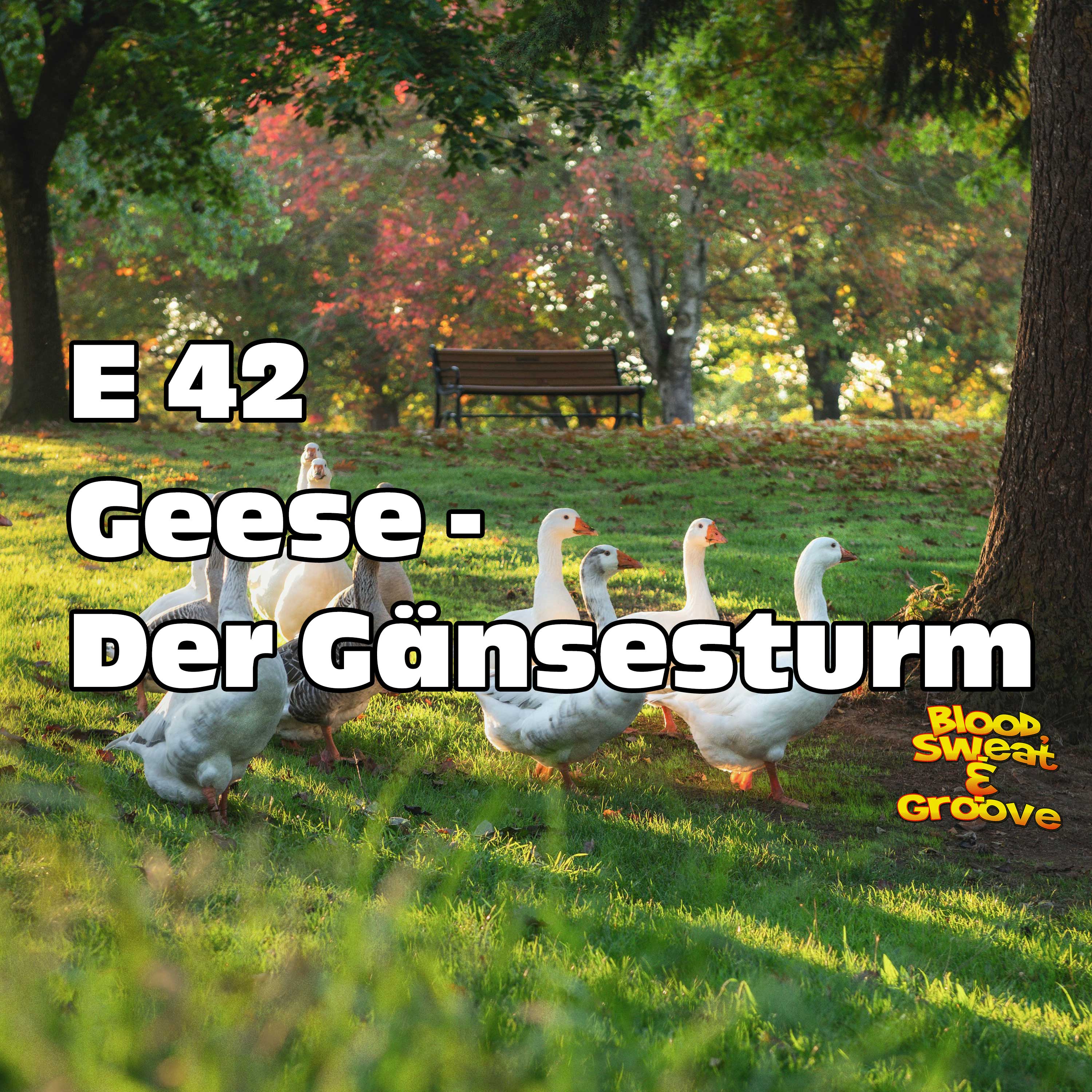 E 42: Geese - Der Gänsesturm episode artwork
