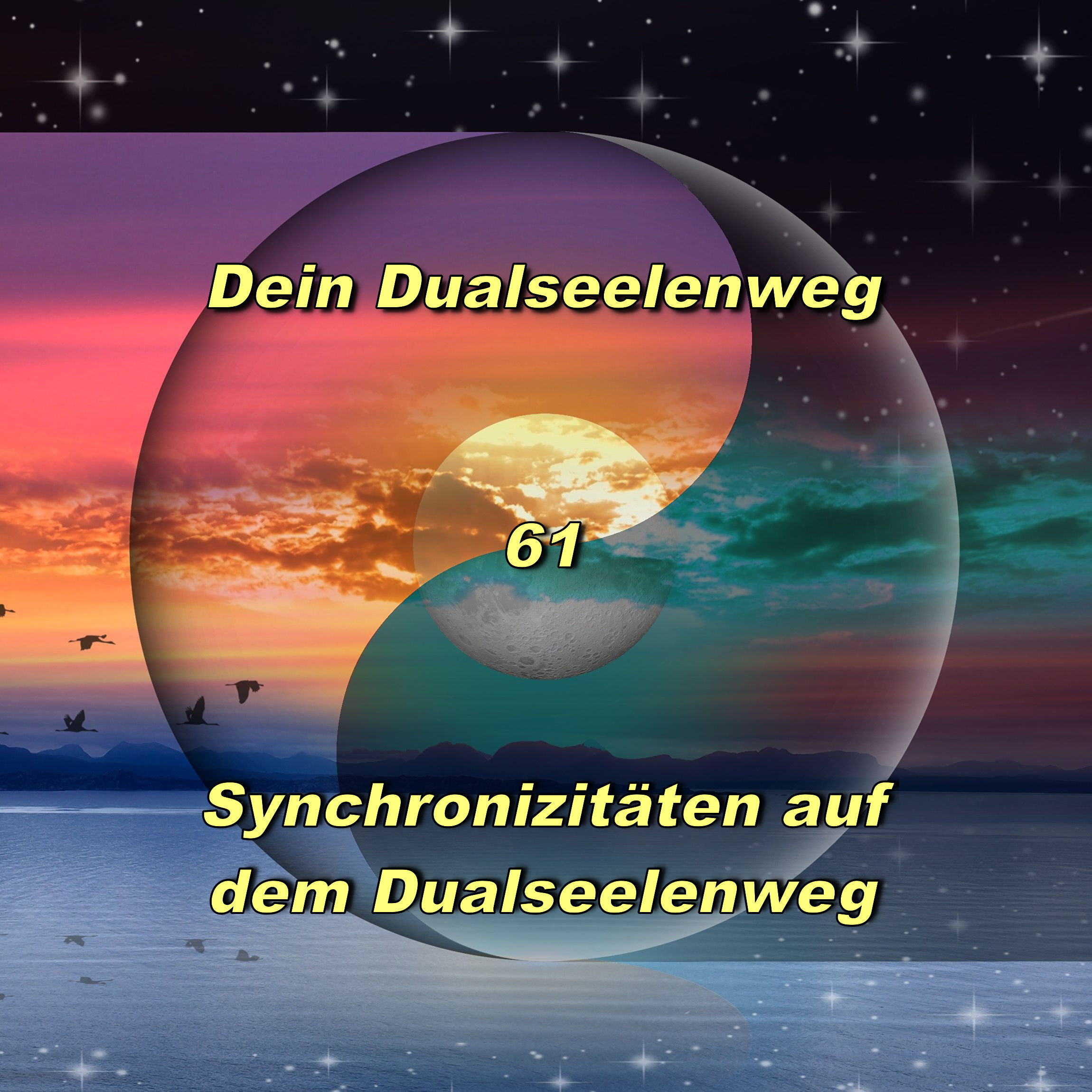 61 - Synchronizitäten auf der Dualseelenreise episode artwork