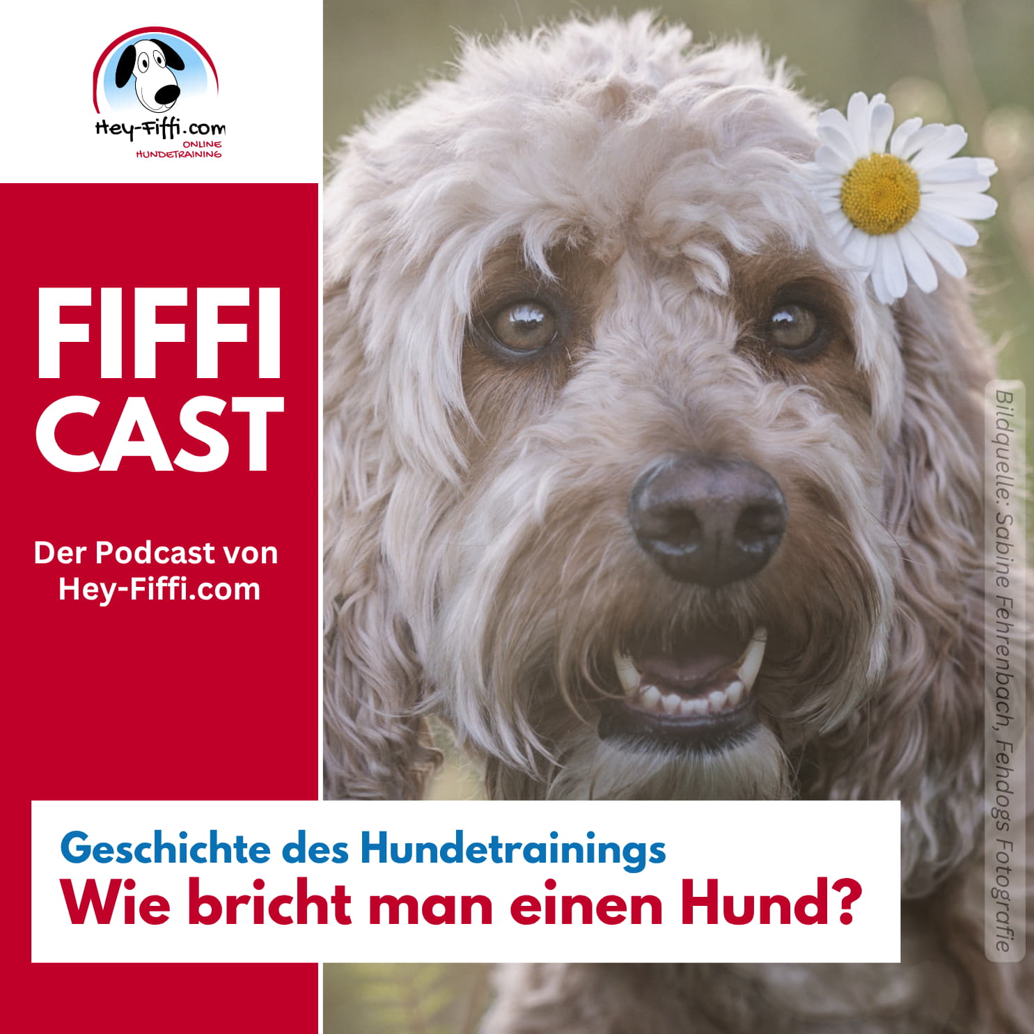 Geschichte des Hundetrainings, Teil 5: Wie bricht man einen Hund? episode artwork