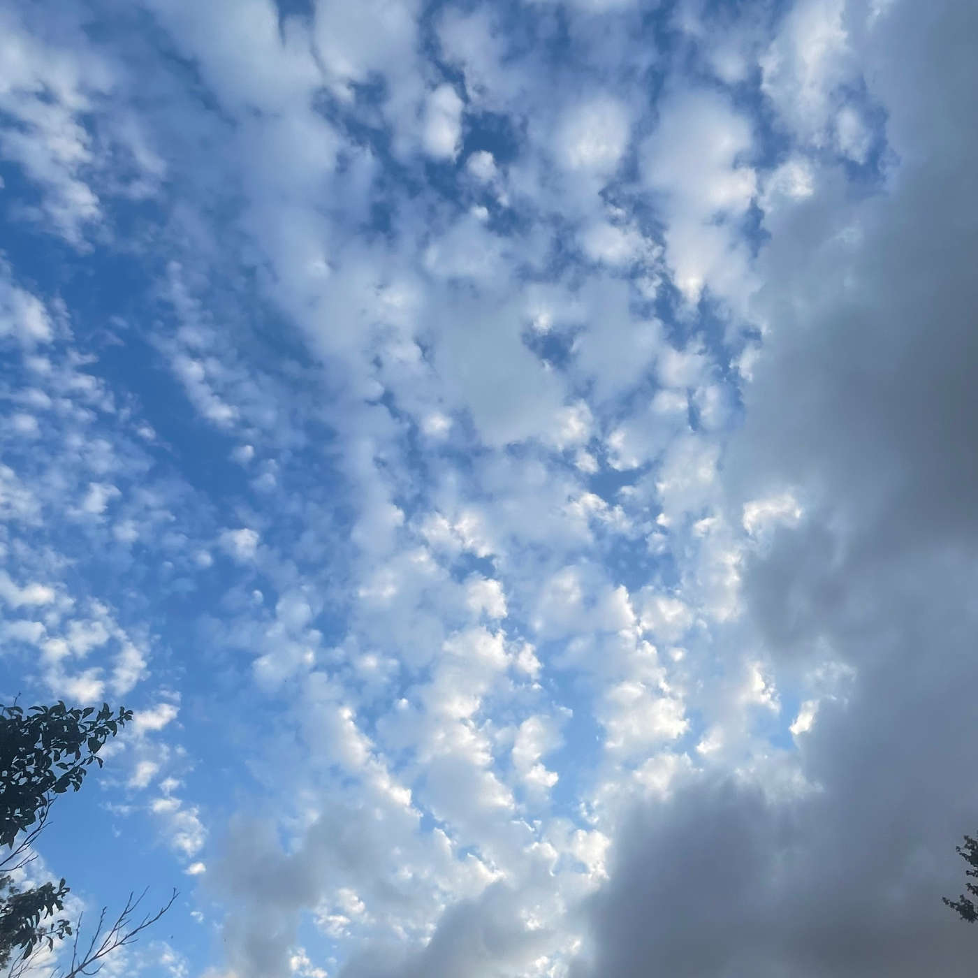 (ohne Musik) Do, 04.06. Entspannt einschlafen - Wenn Wolken weiterziehen (Kopie)