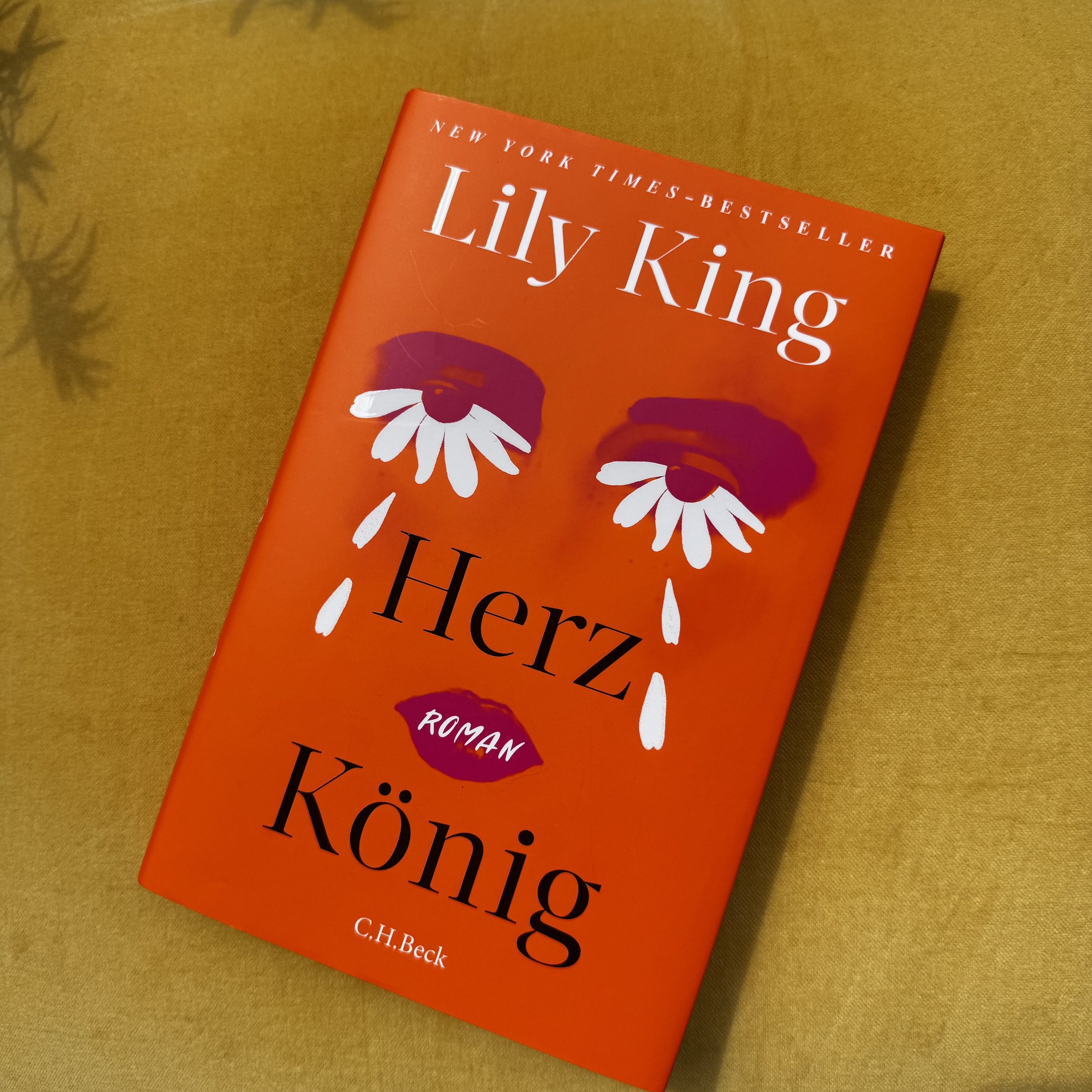Feiste Bücher 122: "Herz König" von Lily King episode artwork