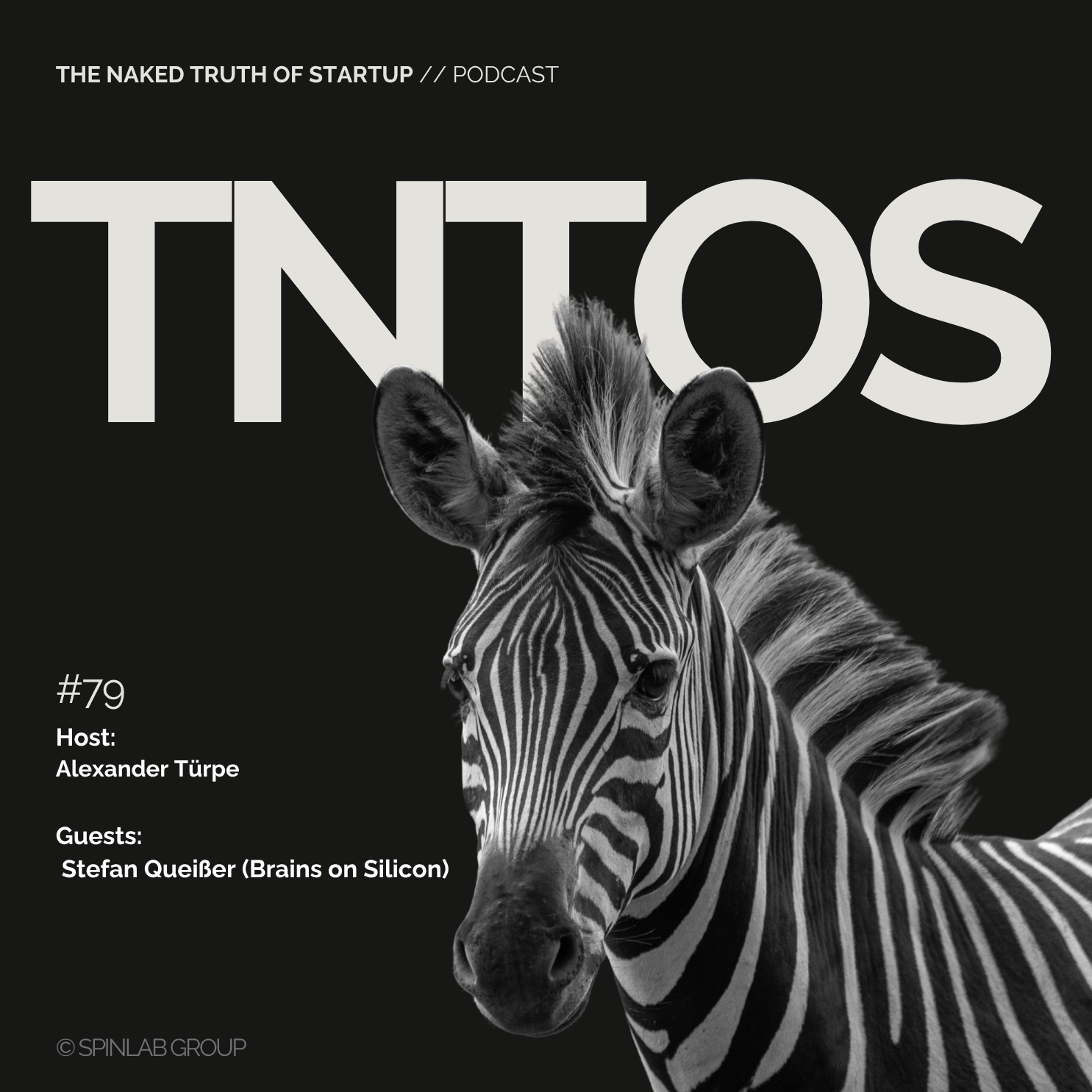 Brains on Silicon – KI-Konferenz, Implementation Gap und was ein Backend-Entwickler mit Taylor Swift zu tun hat episode artwork