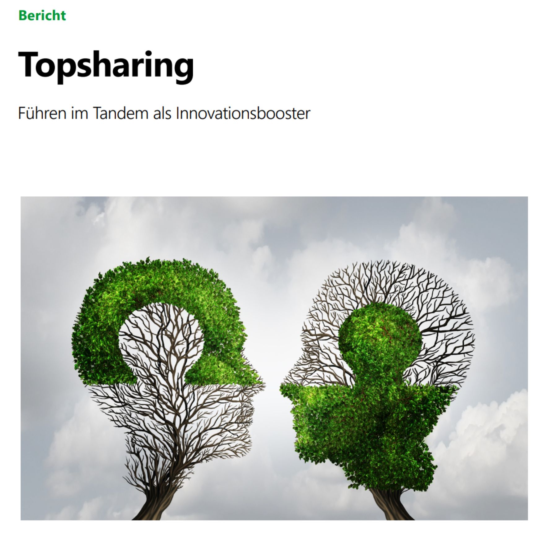 Zwei Köpfe, eine Führung. Wie Topsharing Führung in der Verwaltung verändert? episode artwork