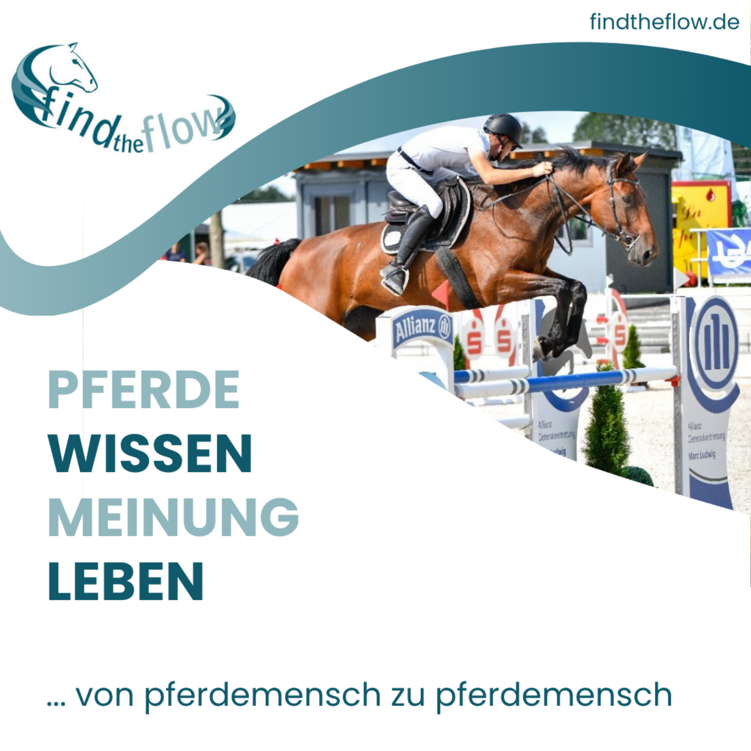 Josef Kmoch - Springreiten und Horsemanship sind keine Gegensätze episode artwork