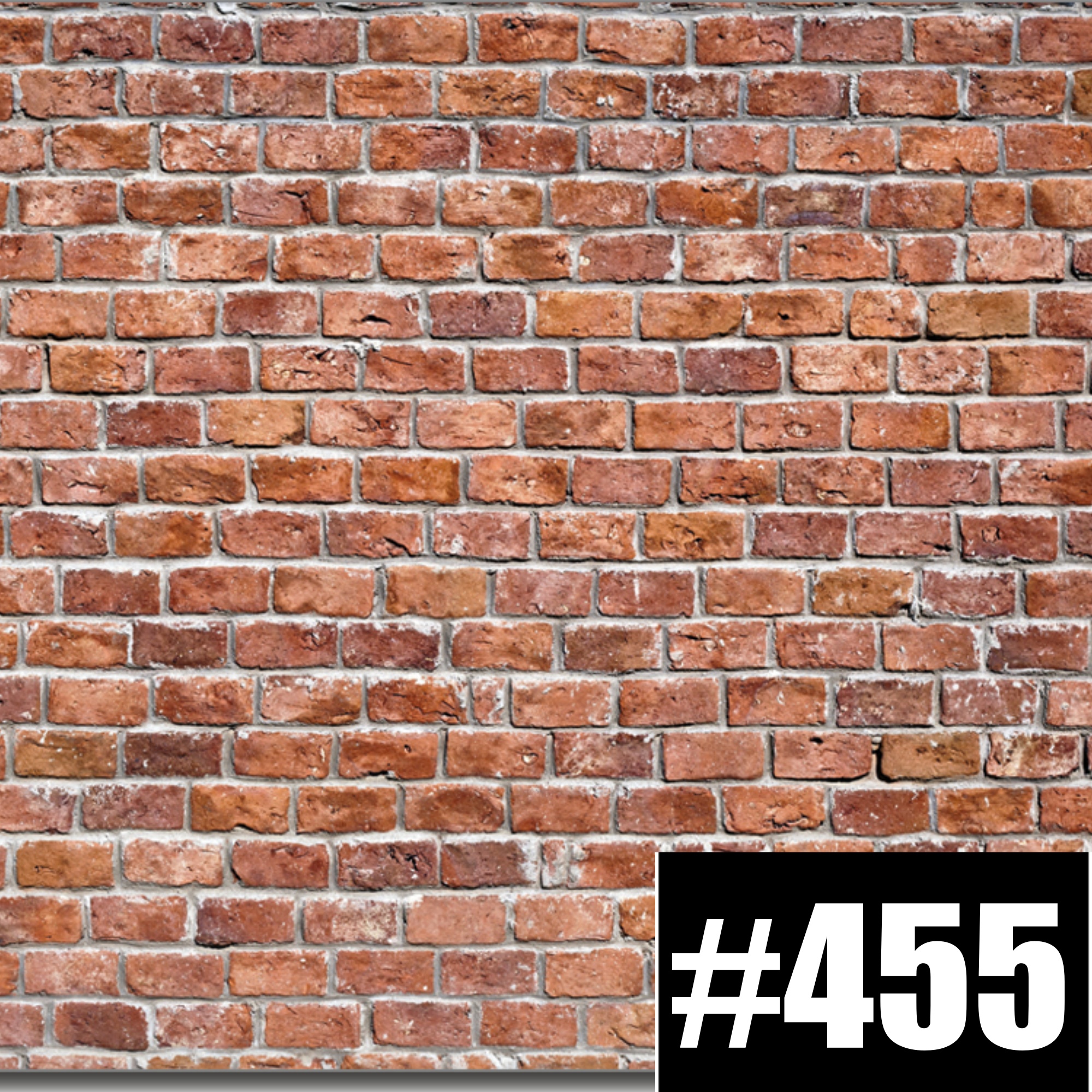 #455: Auf einer Stand-Up Show episode artwork