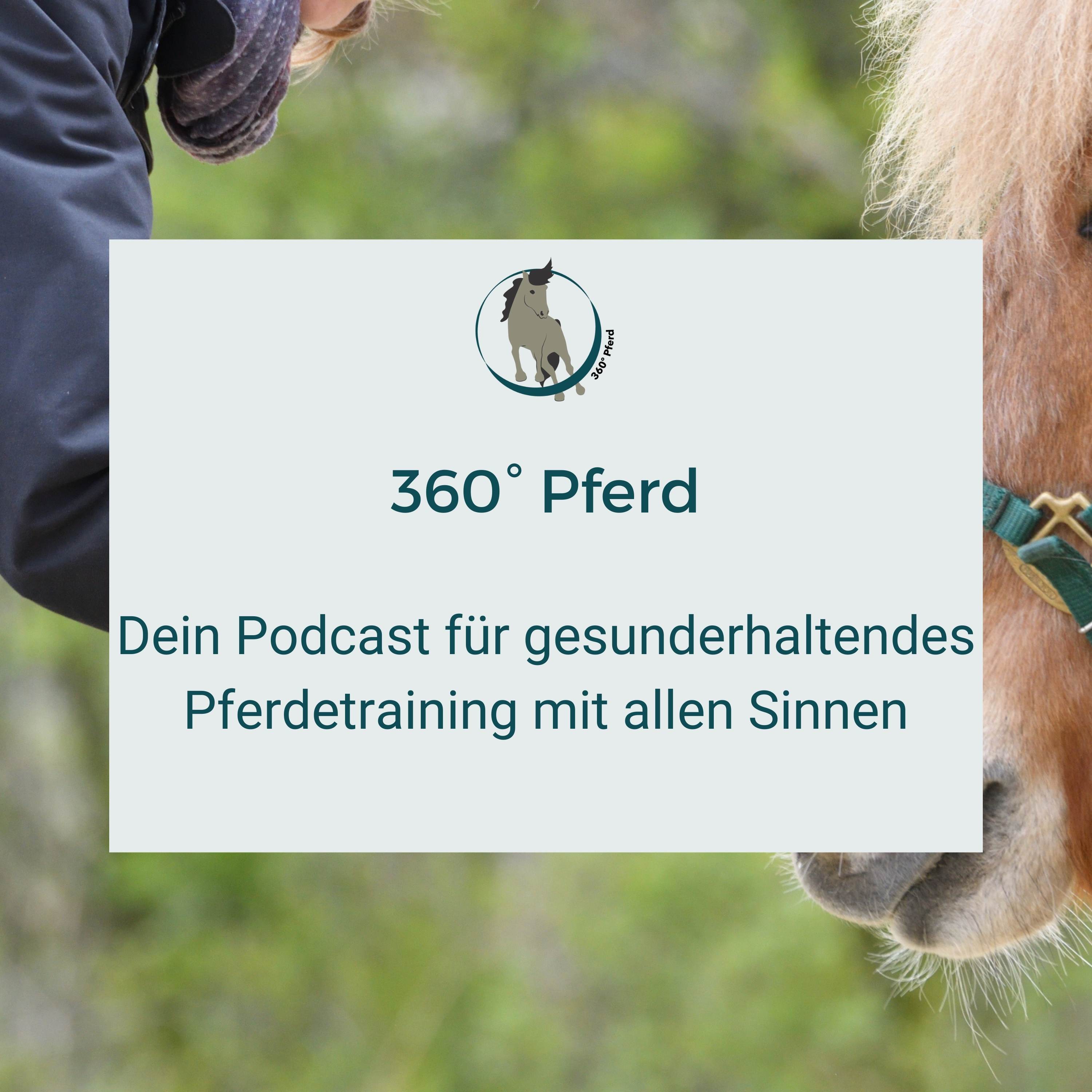 Was ist mit 360° Pferd los und wie wird es weitergehen? episode artwork