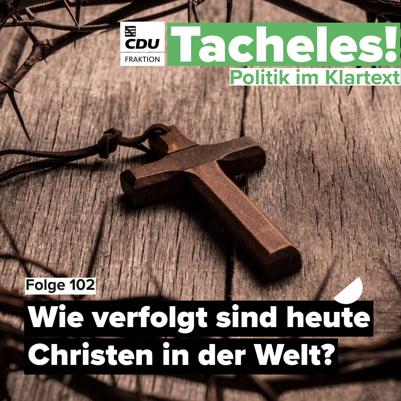 Tacheles! Politik im Klartext