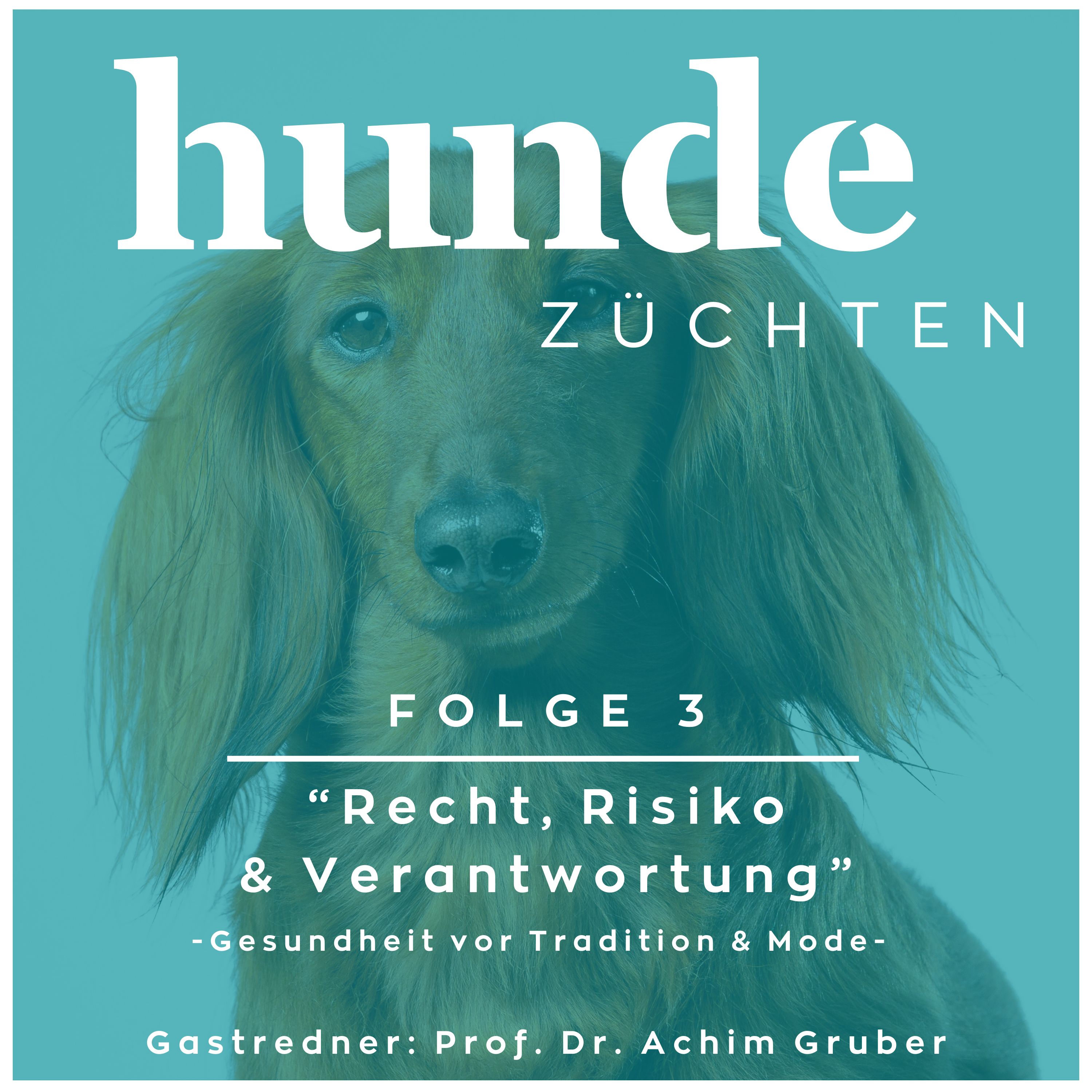#3 - Recht, Risiko & Verantwortung episode artwork