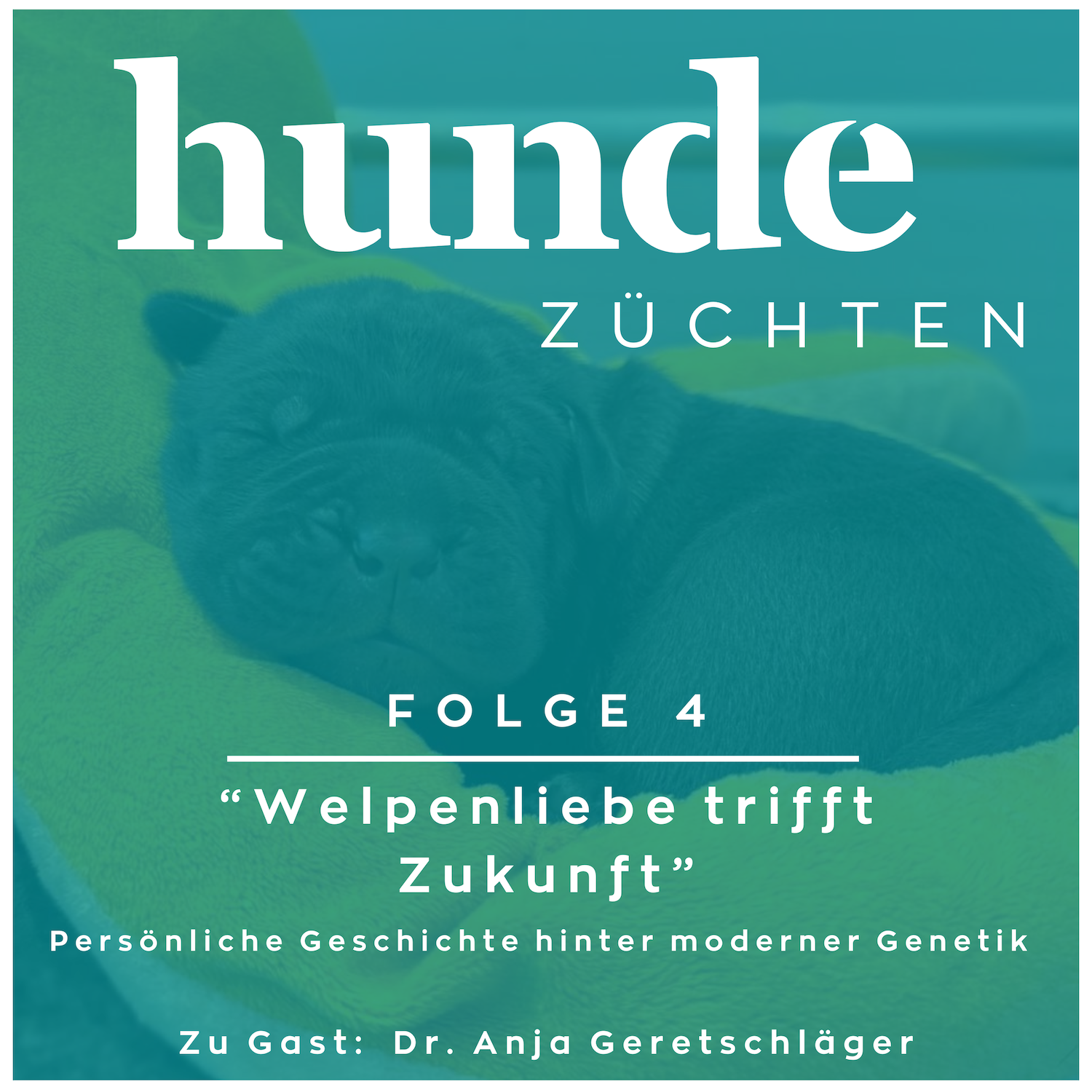 #4 - Welpenliebe trifft Zukunft episode artwork