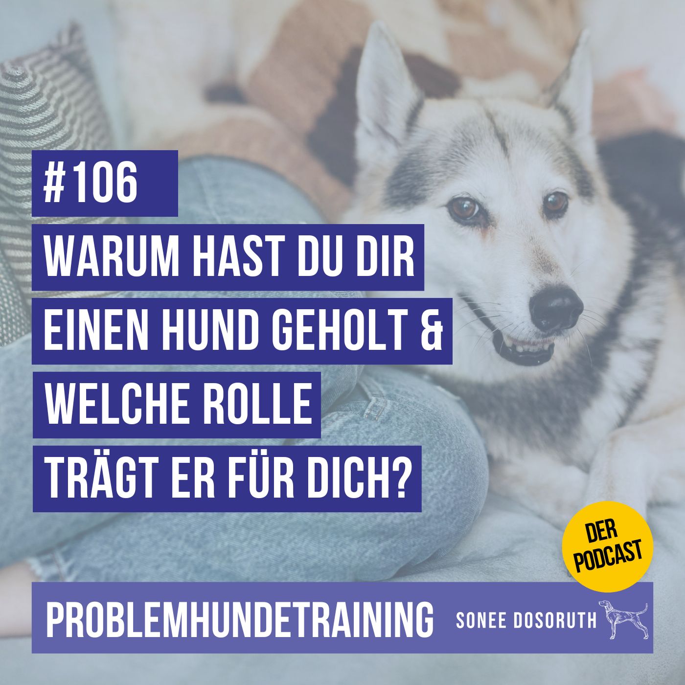 Warum hast du dir einen Hund geholt – und welche Rolle trägt er für dich?