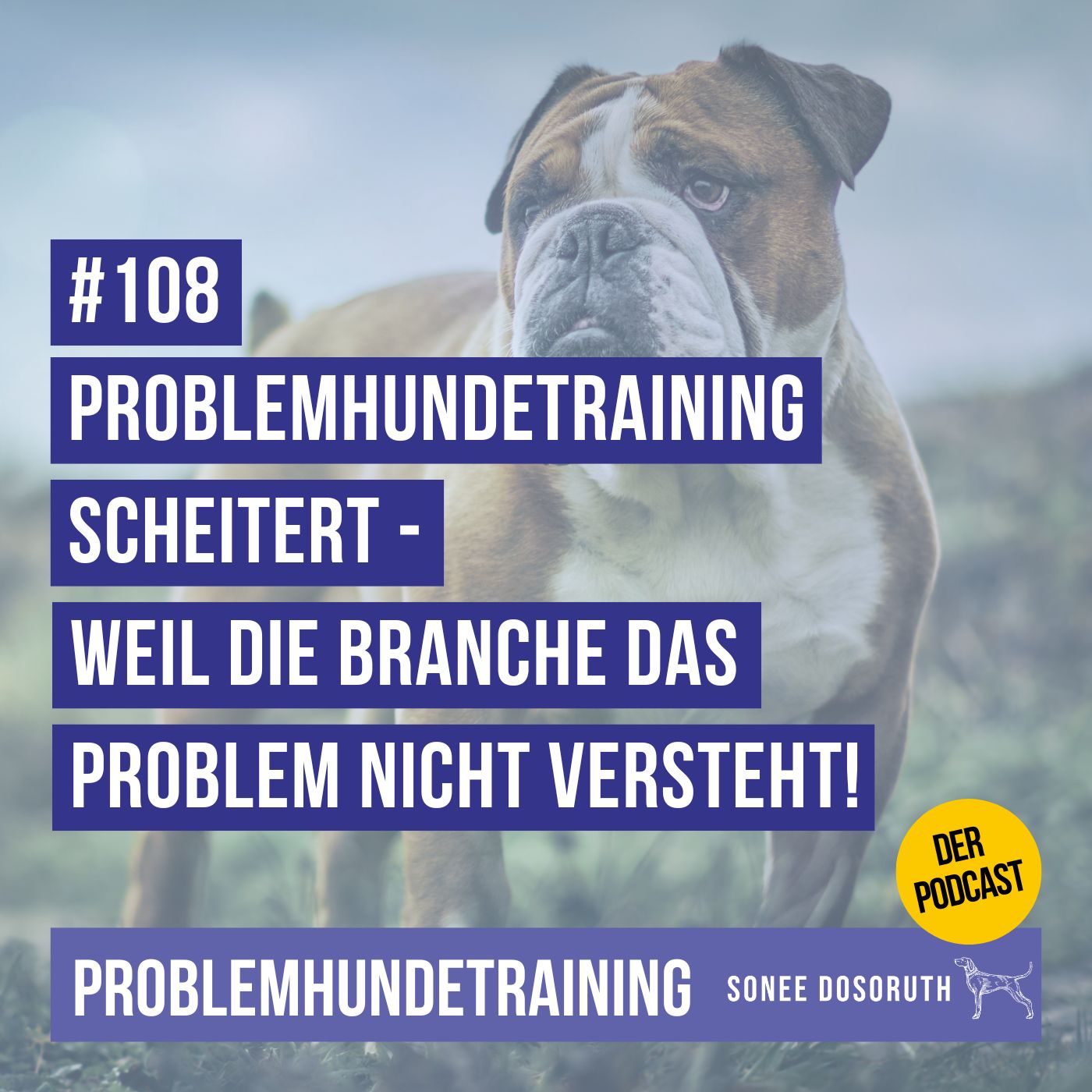 Problemhundetraining scheitert – weil die Branche das Problem nicht versteht!