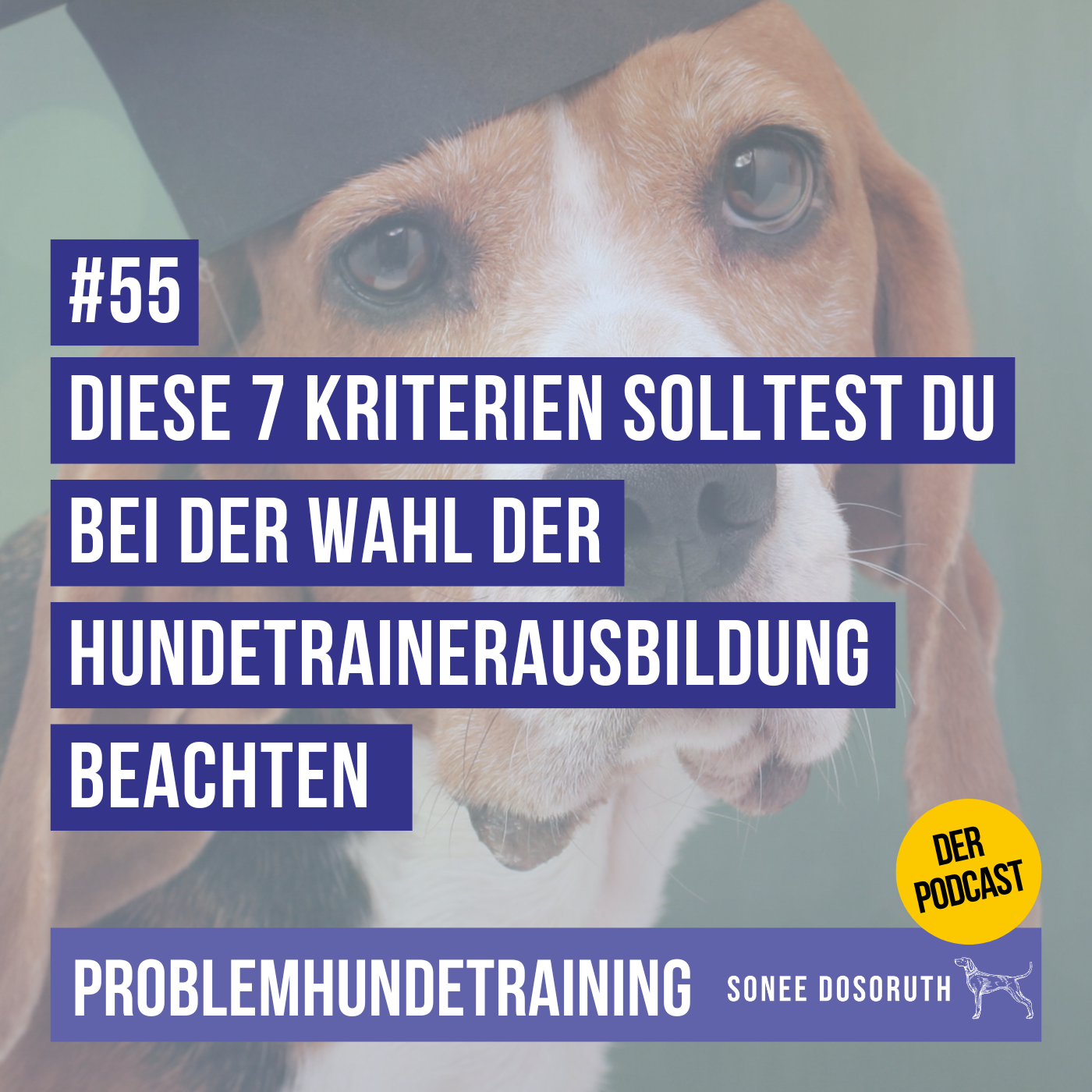 Diese 7 Kriterien solltest du bei der Wahl der Hundetrainerausbildung beachten