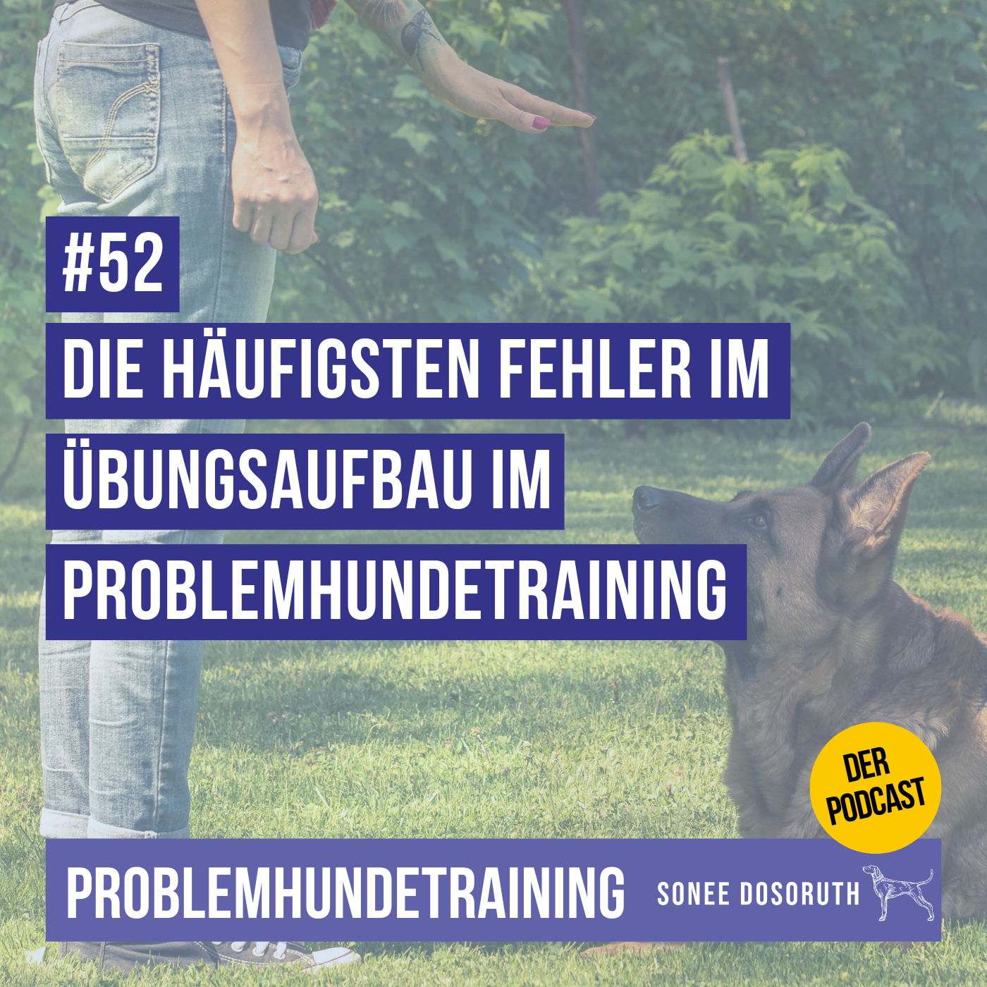 Die häufigsten Fehler im Übungsaufbau im Problemhundetraining